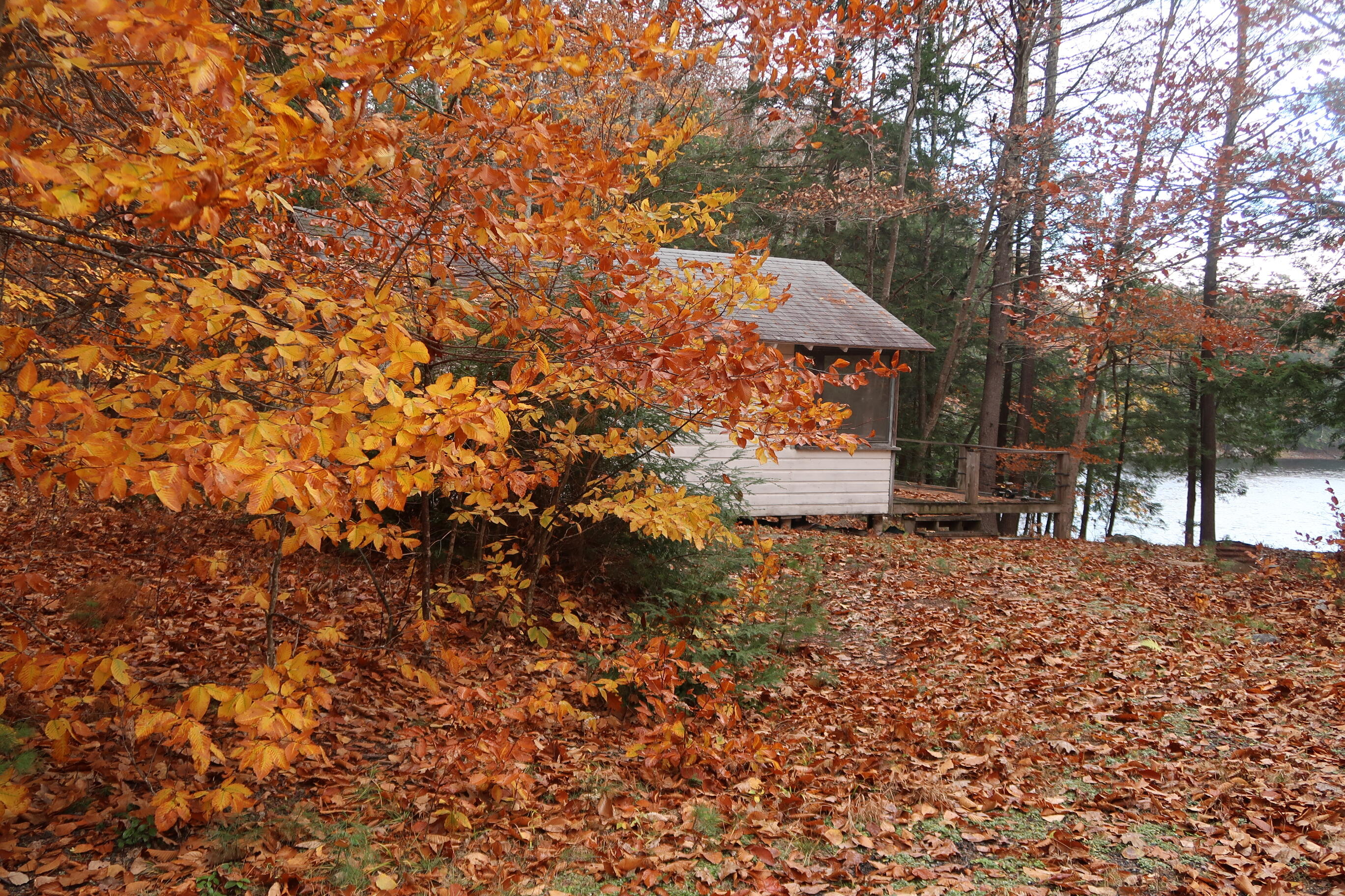 64 Paddleford Road Property Photo 15