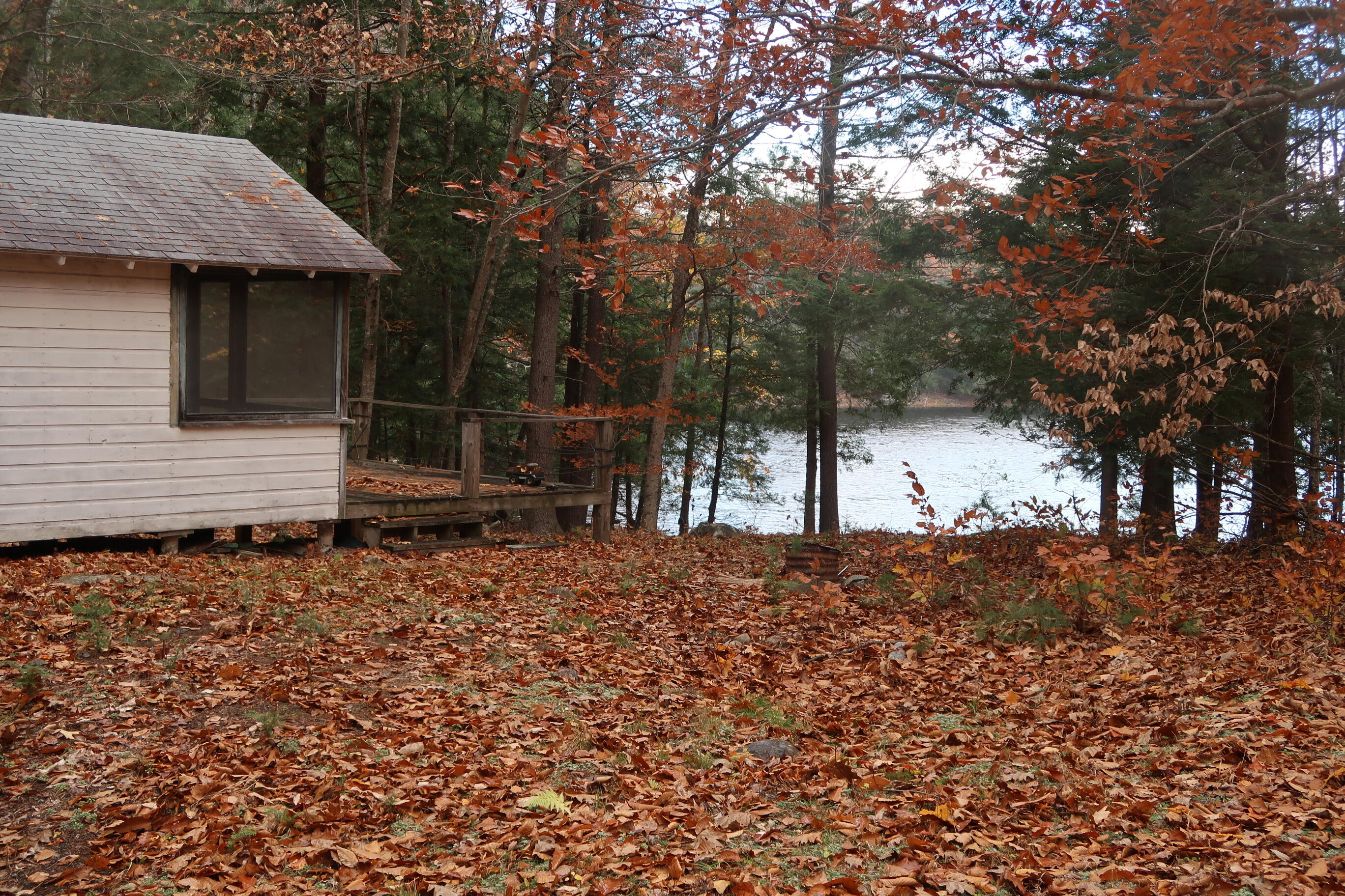 64 Paddleford Road Property Photo 16