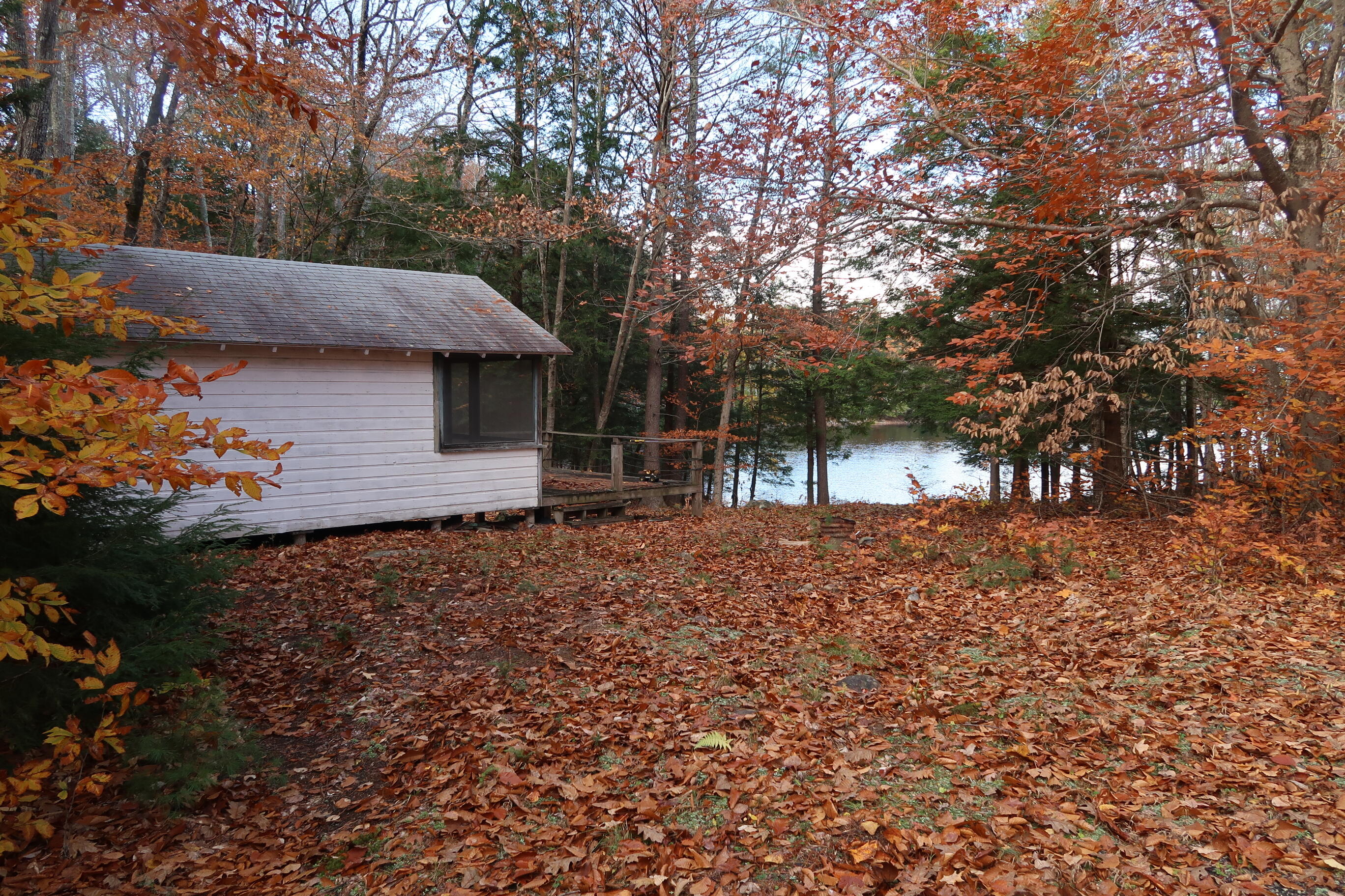 64 Paddleford Road Property Photo 18