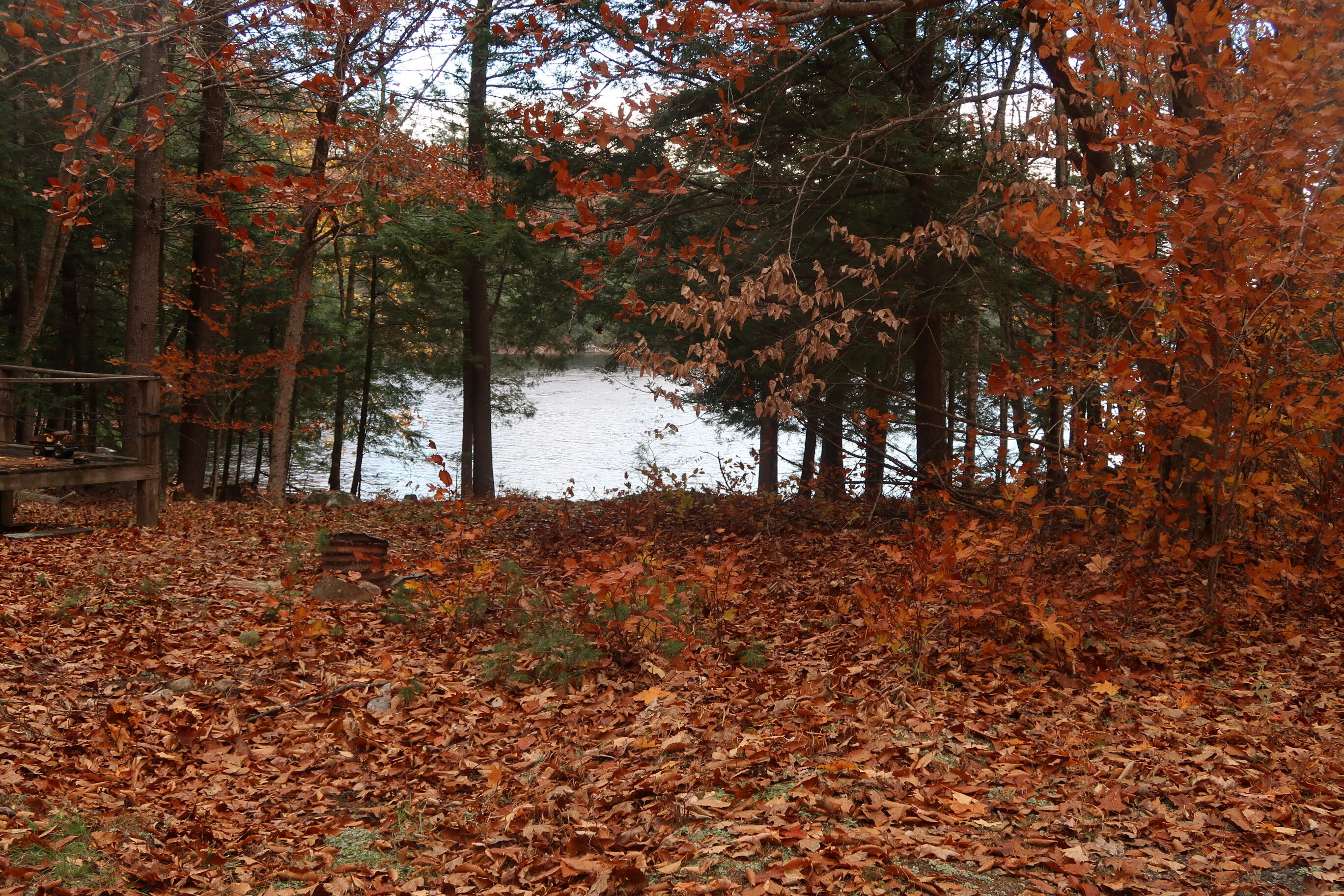 64 Paddleford Road Property Photo 19