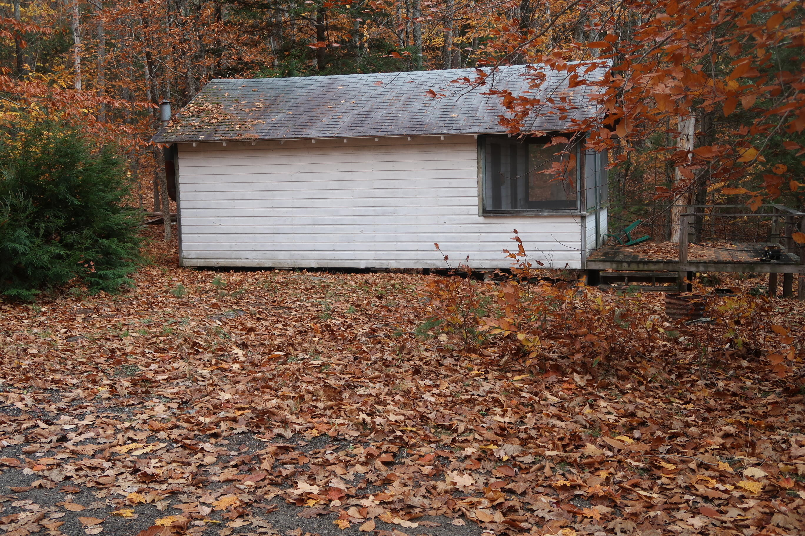 64 Paddleford Road Property Photo 20