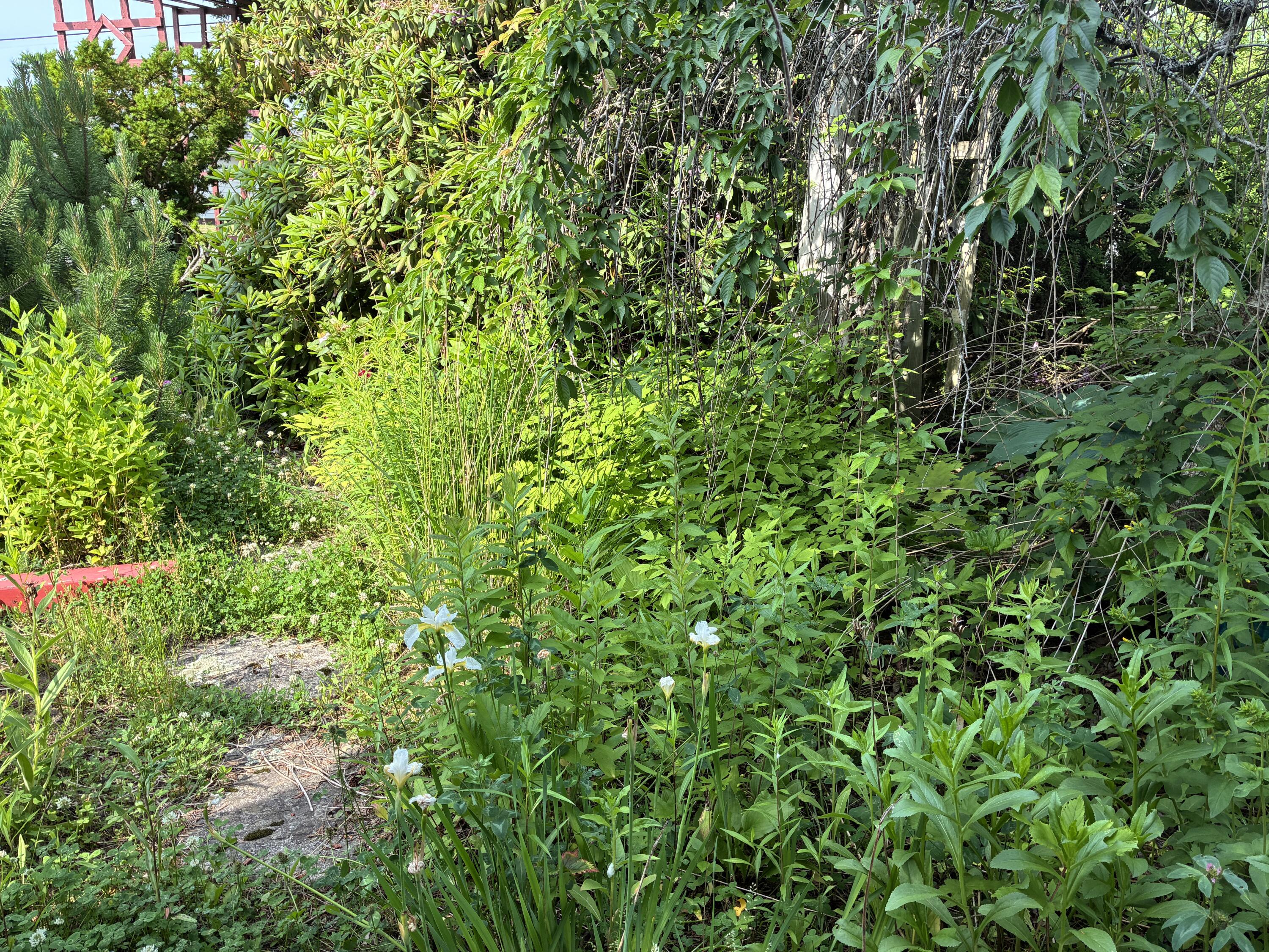 68 Village Rd. Property Photo 3