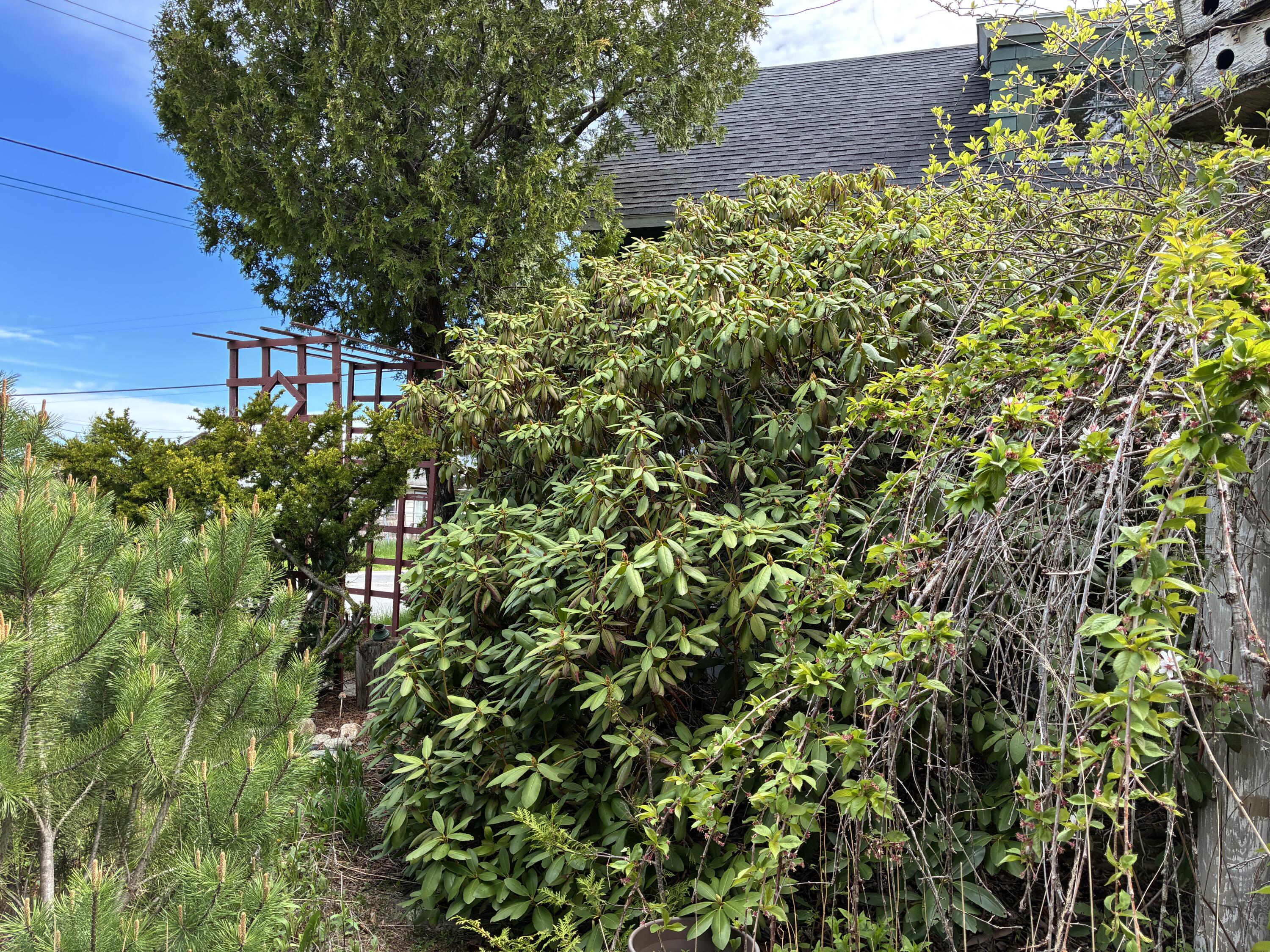68 Village Rd. Property Photo 8