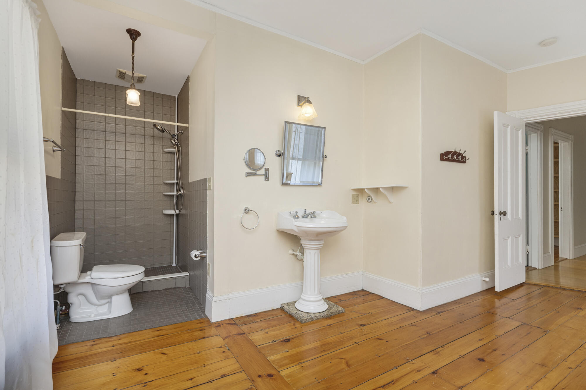 259 Spring Street Property Photo 49
