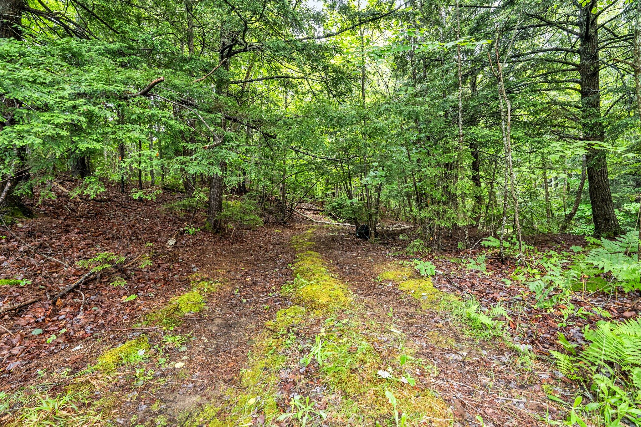Lot #34 Atlantic Highway Property Photo 3
