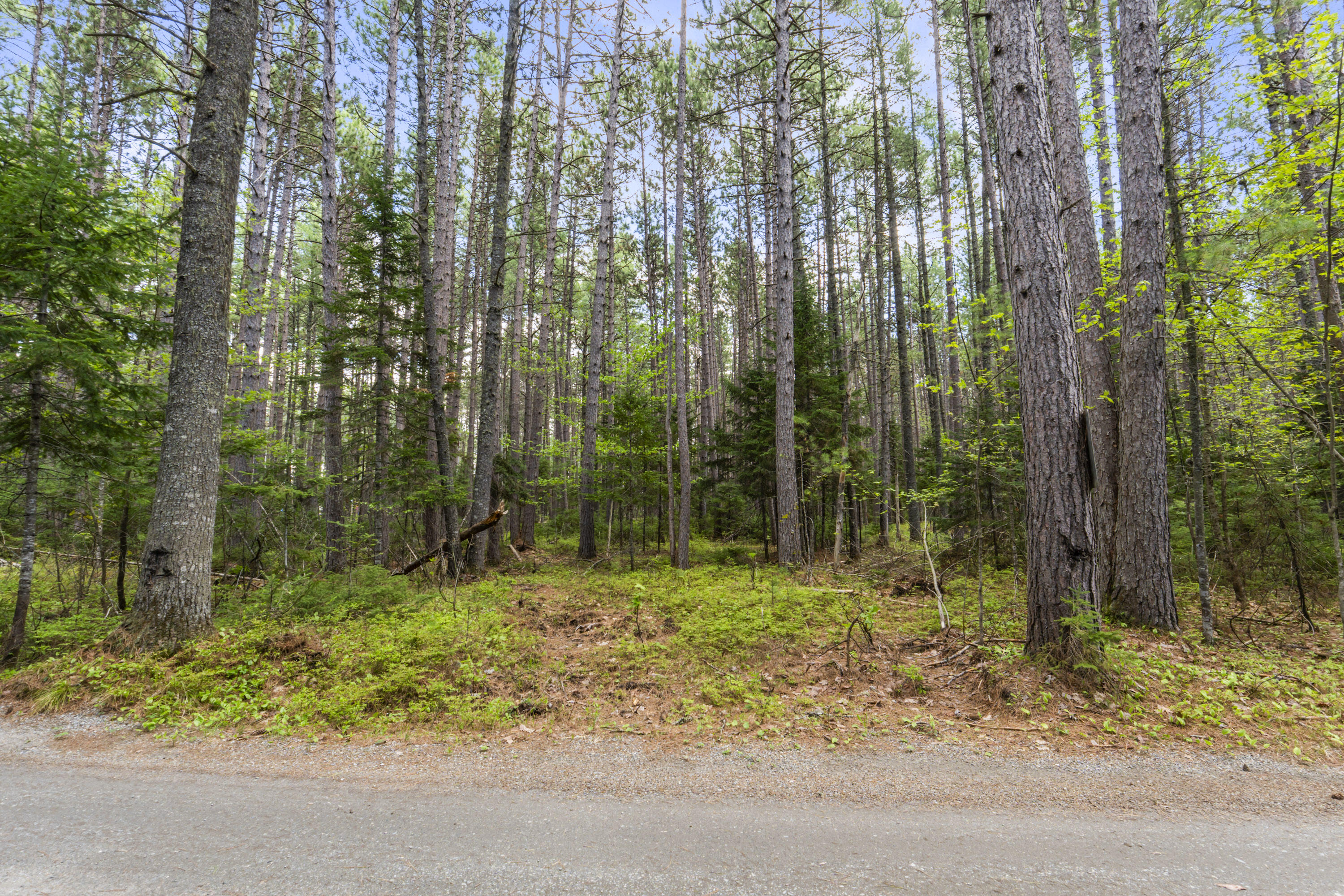 81 B Red Pine Lane Property Photo 7