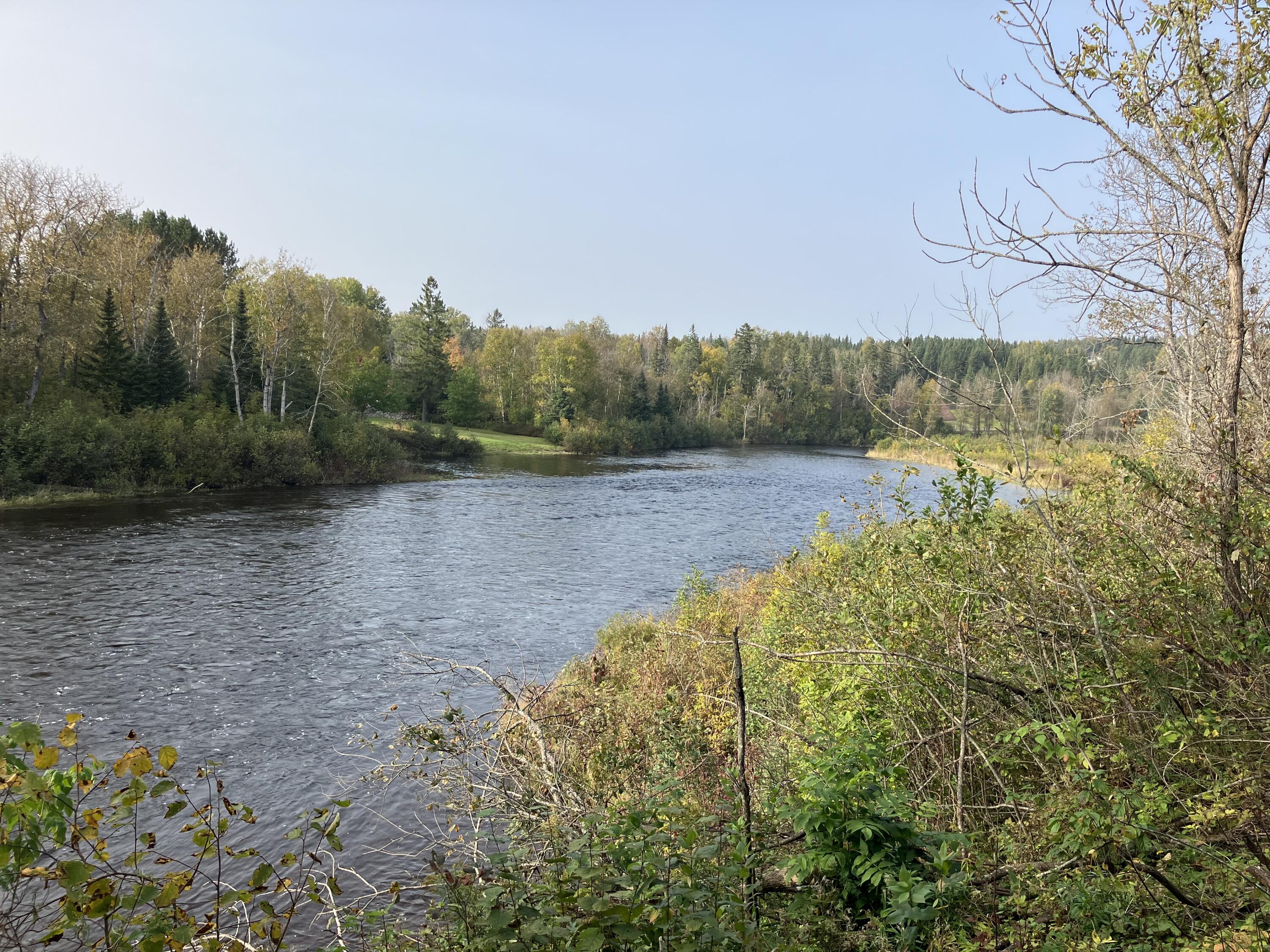 3741 Aroostook Road Property Photo 6