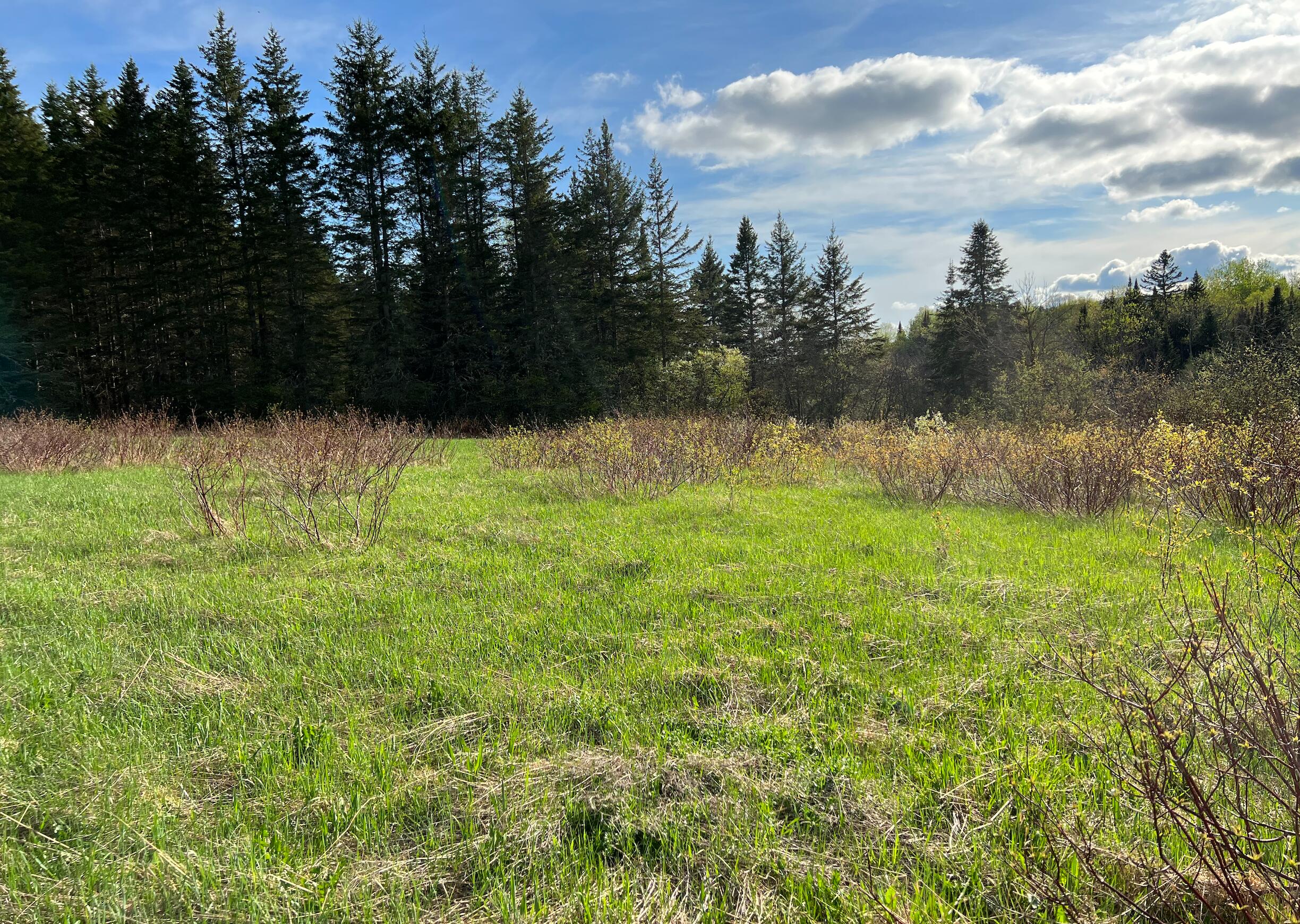 3741 Aroostook Road Property Photo 13
