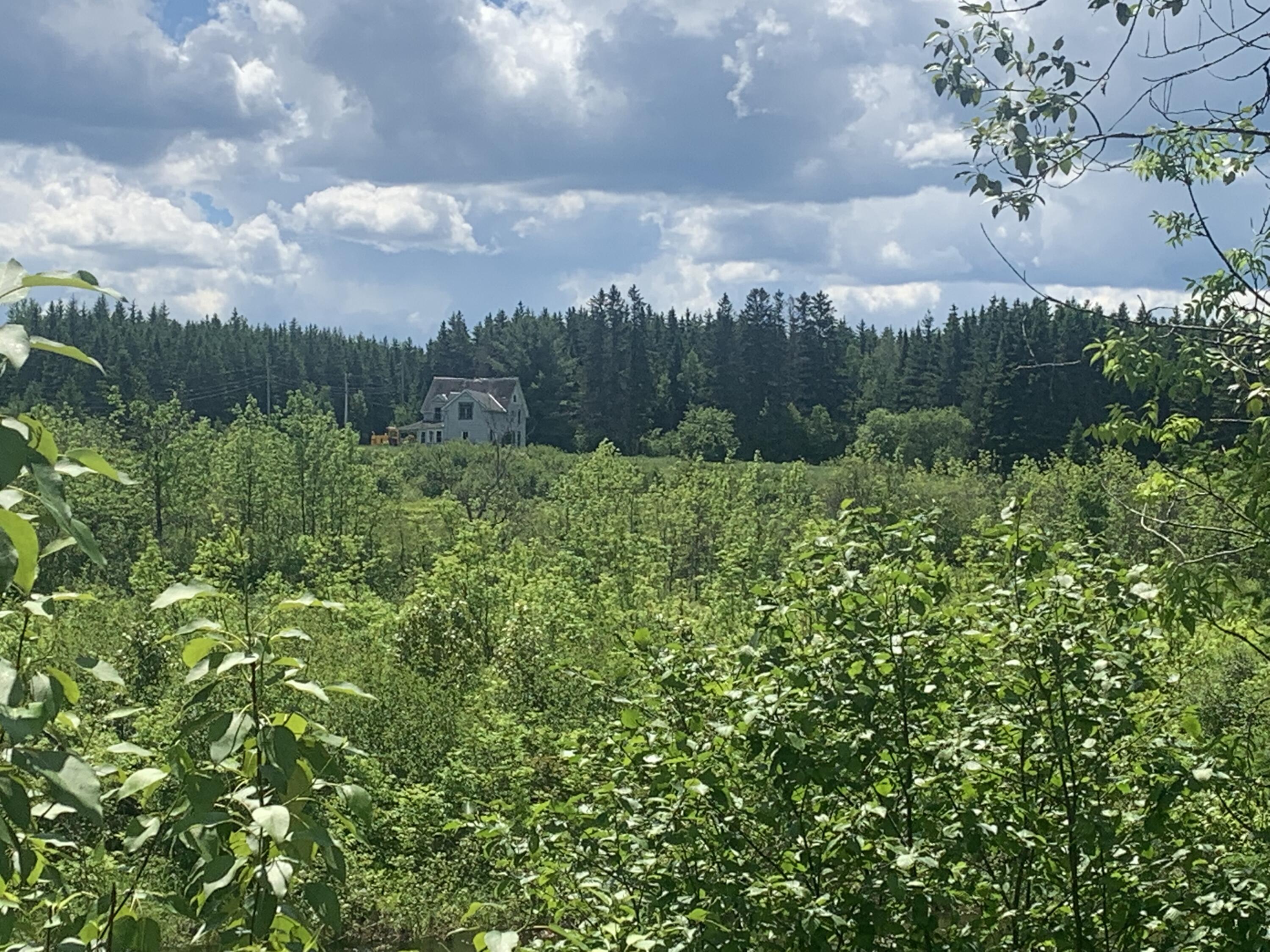 3741 Aroostook Road Property Photo 20