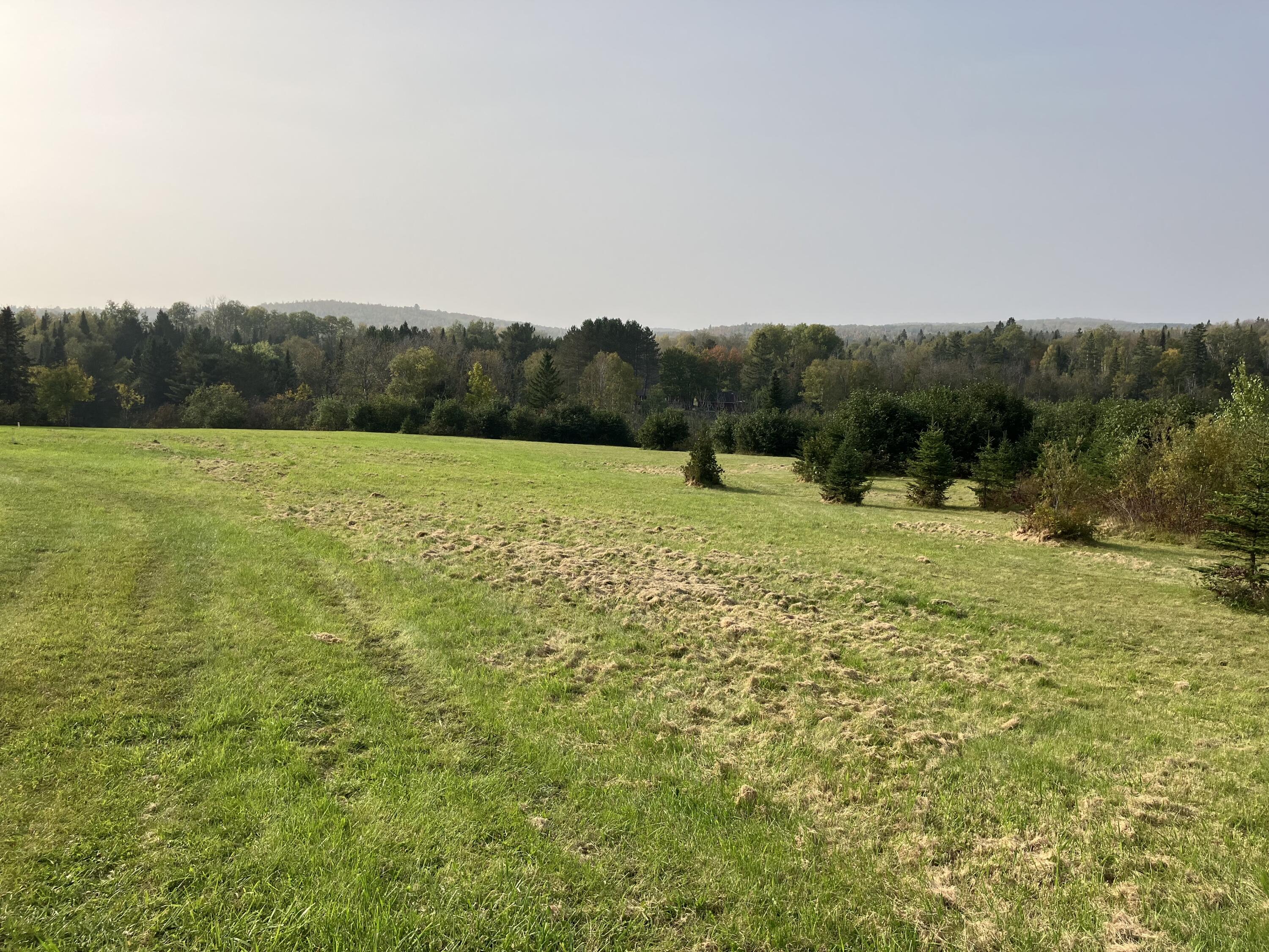 3741 Aroostook Road Property Photo 22