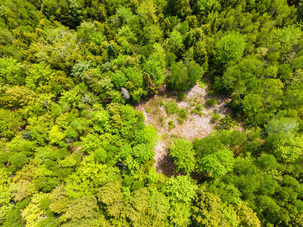 Lot 116 Bass Overlook Property Photo 2