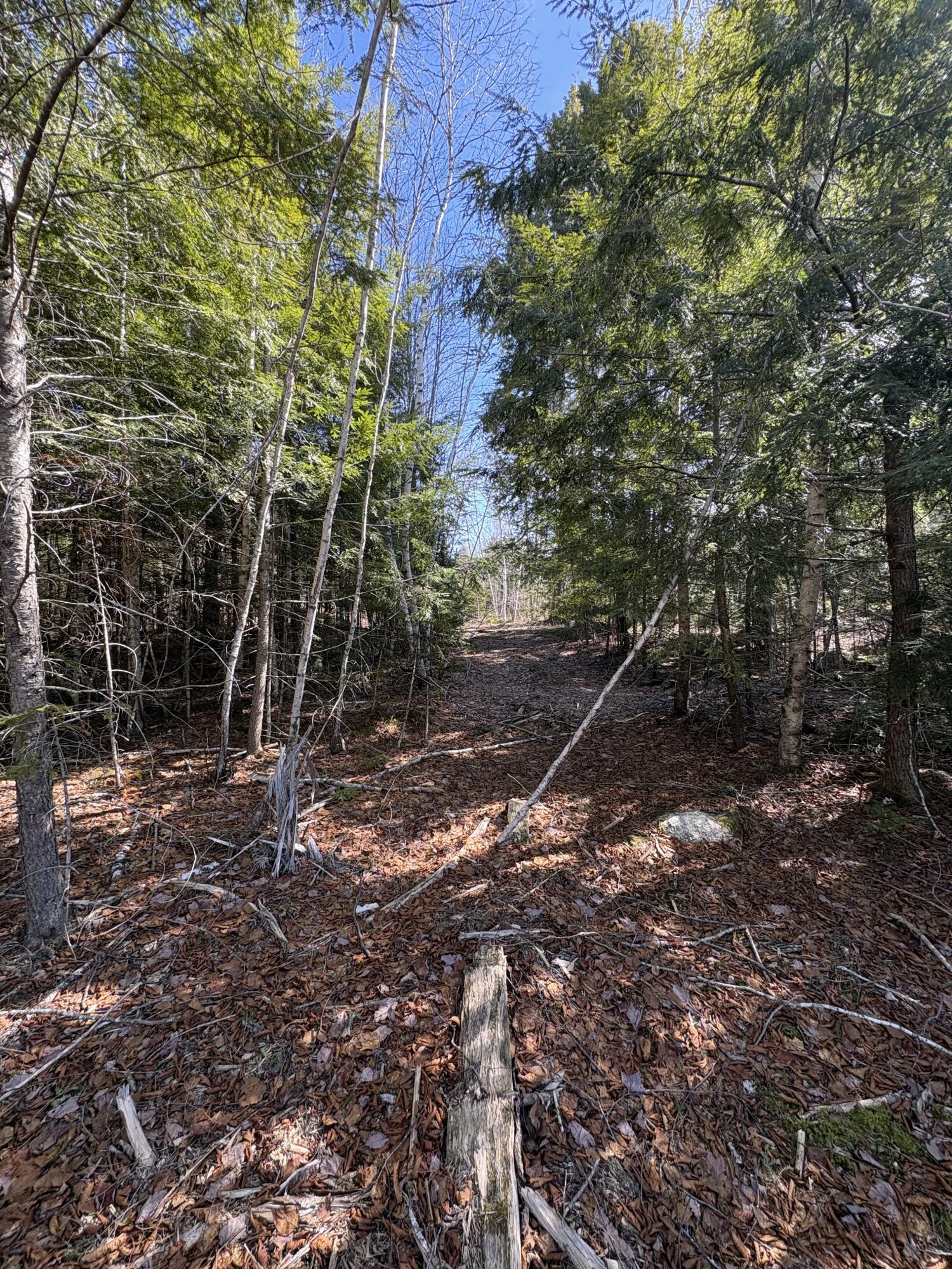 Lot 116 Bass Overlook Property Photo 3