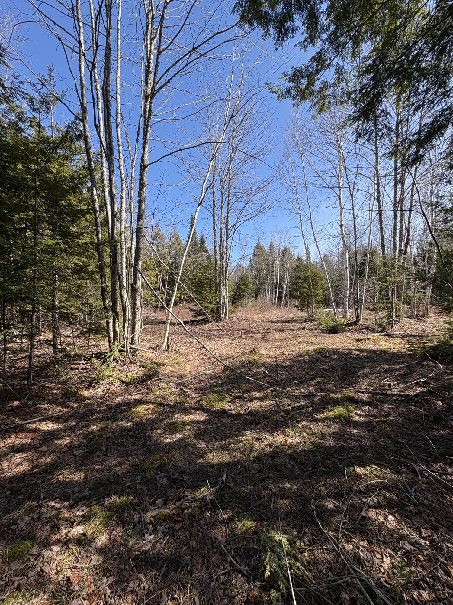 Lot 116 Bass Overlook Property Photo 4
