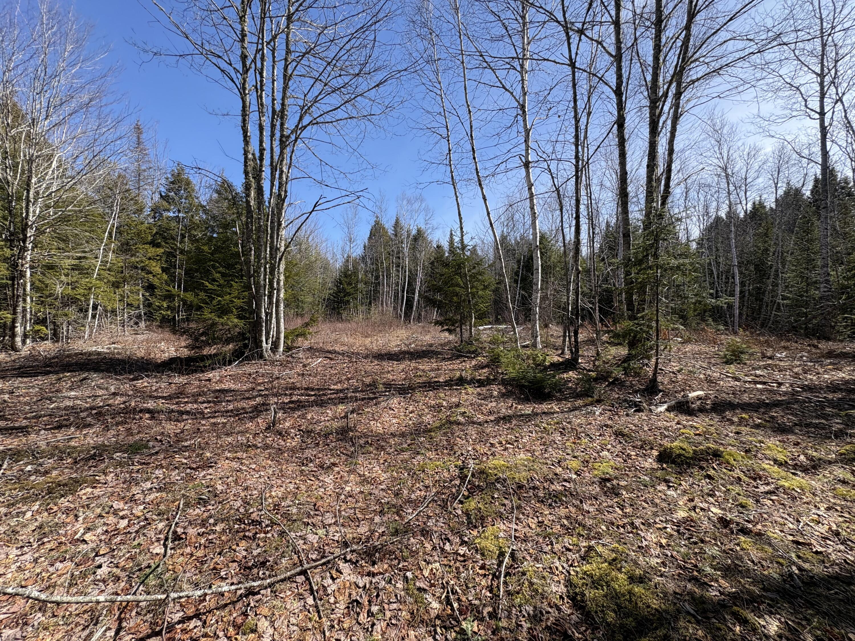 Lot 116 Bass Overlook Property Photo 5