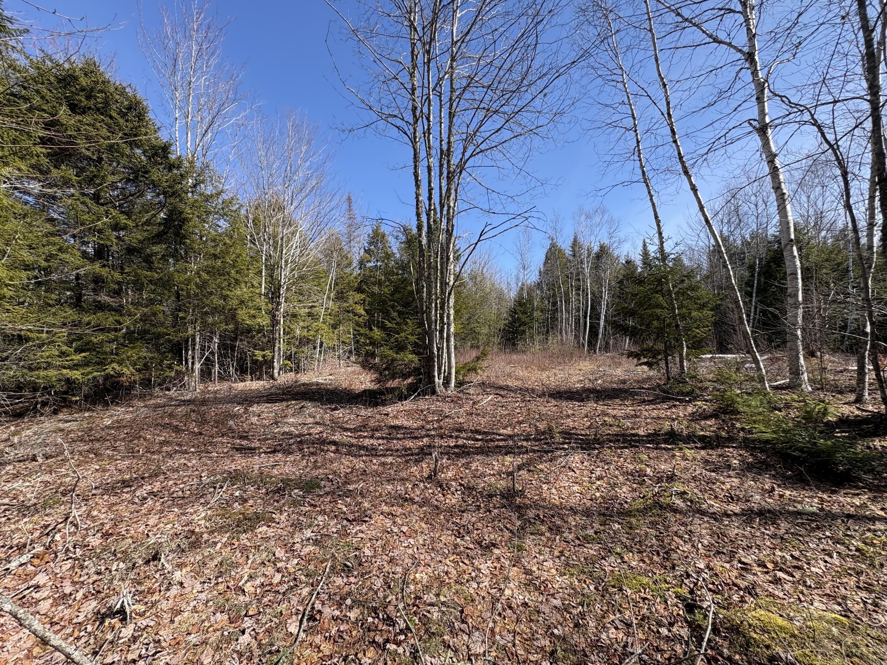 Lot 116 Bass Overlook Property Photo 6