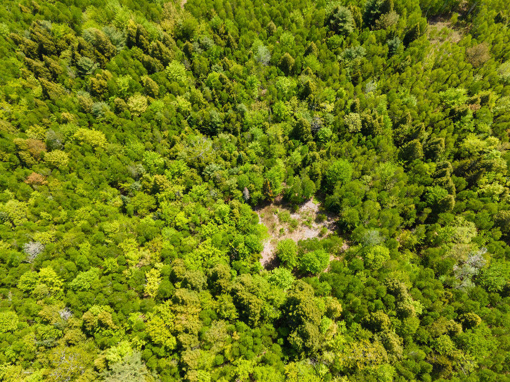 Lot 116 Bass Overlook Property Photo 9