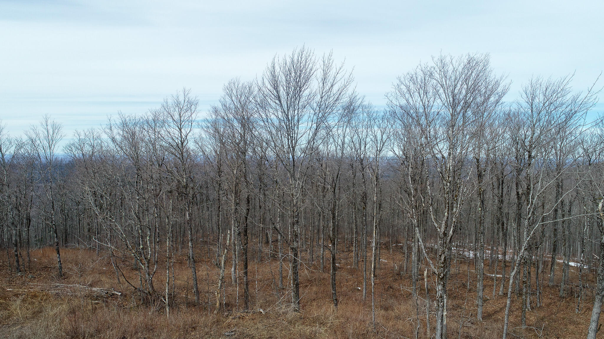 M1l22 Moosehead Trail Property Photo 5