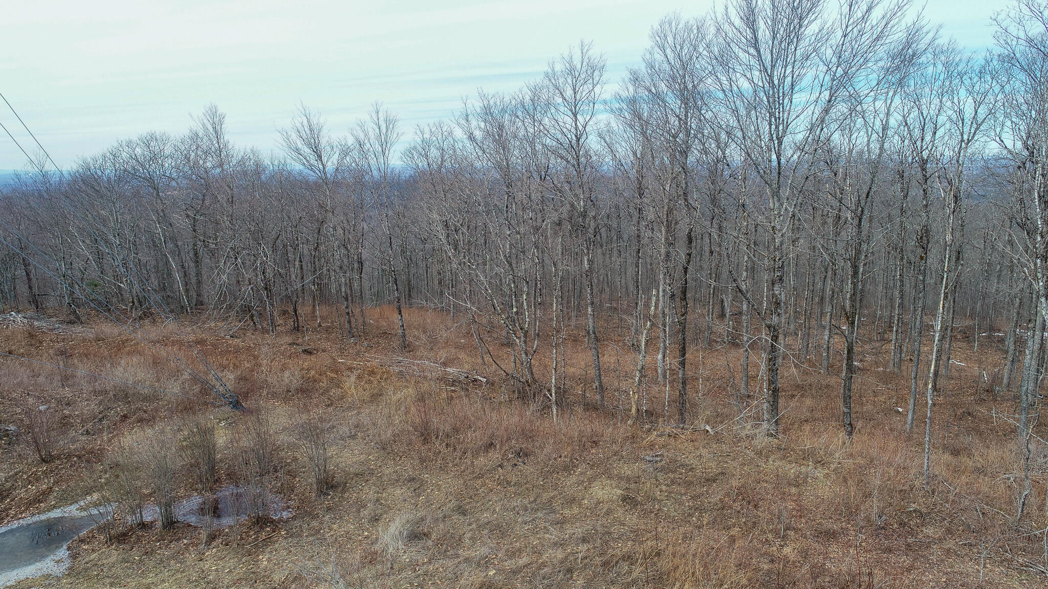 M1l22 Moosehead Trail Property Photo 6