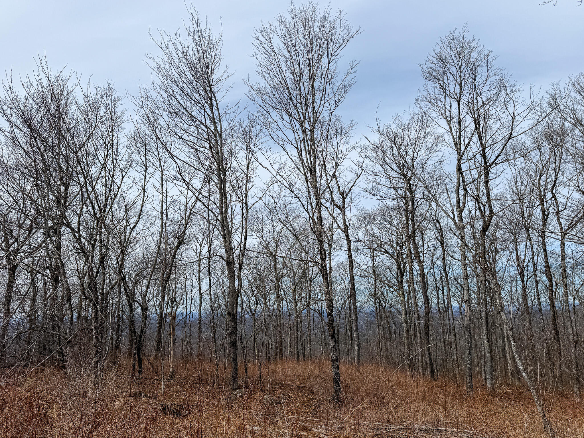 M1l22 Moosehead Trail Property Photo 12