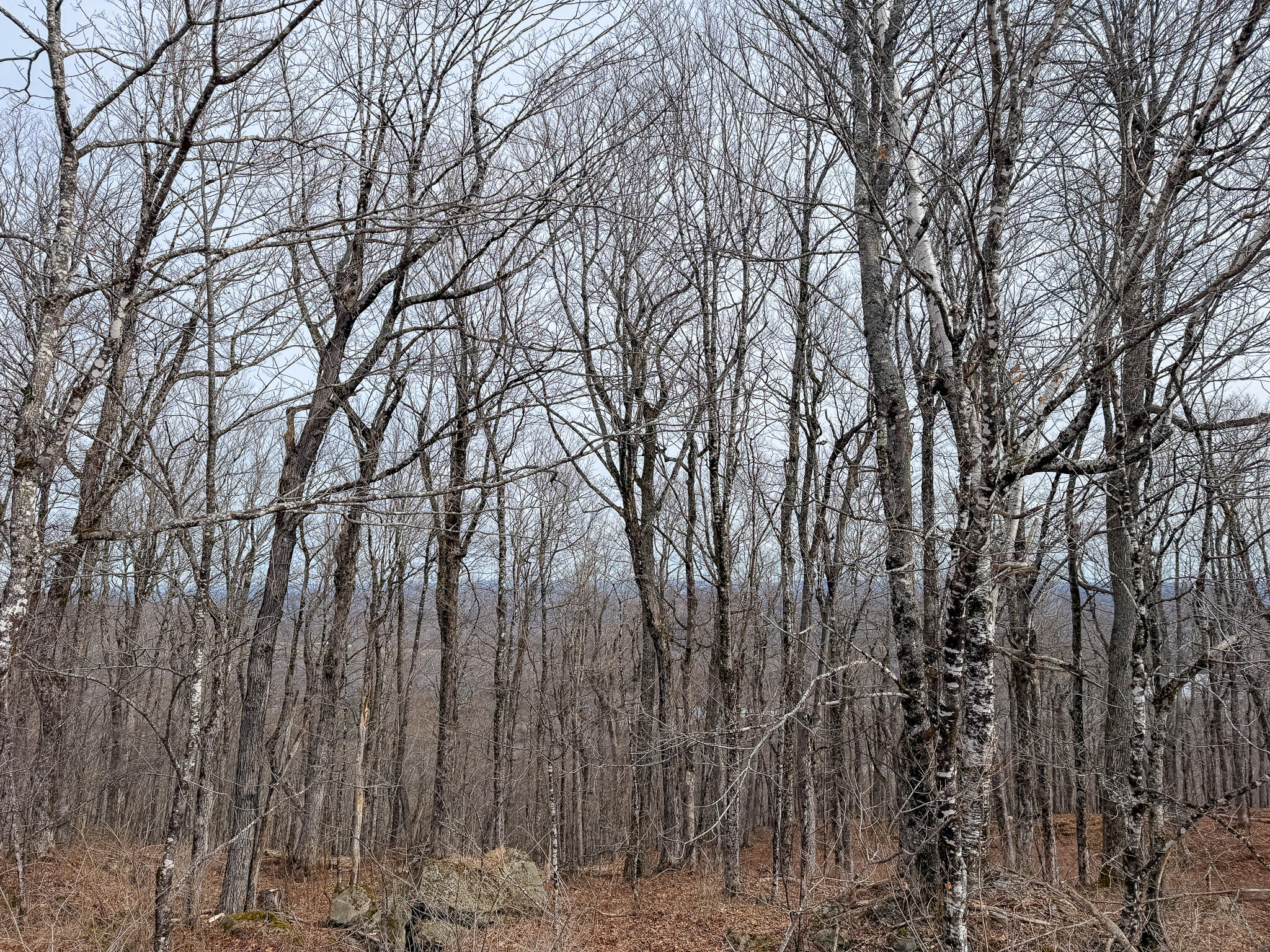 M1l22 Moosehead Trail Property Photo 13