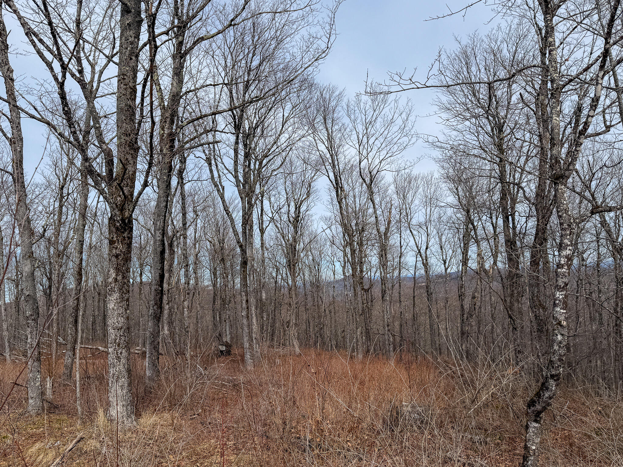M1l22 Moosehead Trail Property Photo 14