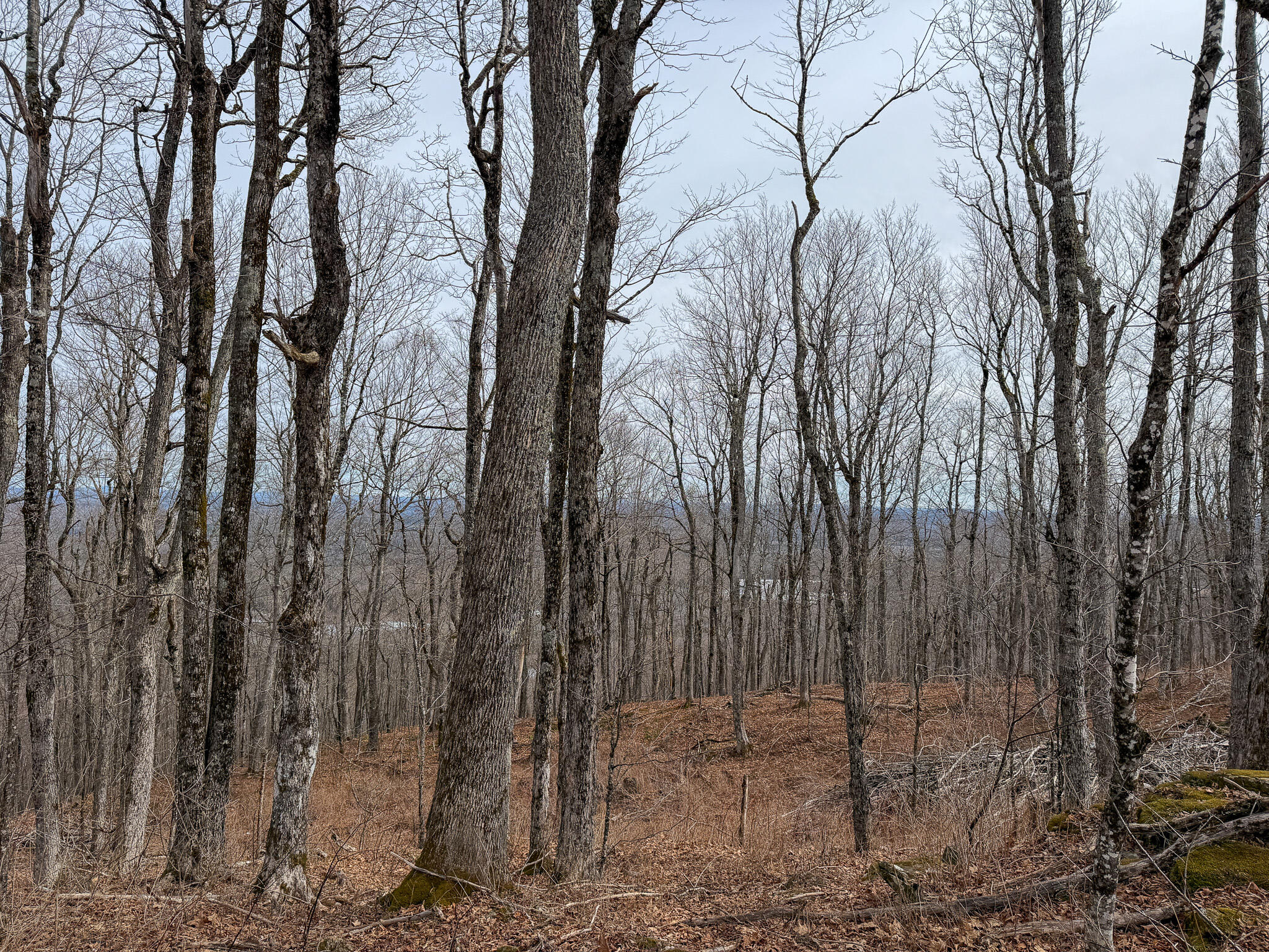 M1l22 Moosehead Trail Property Photo 15