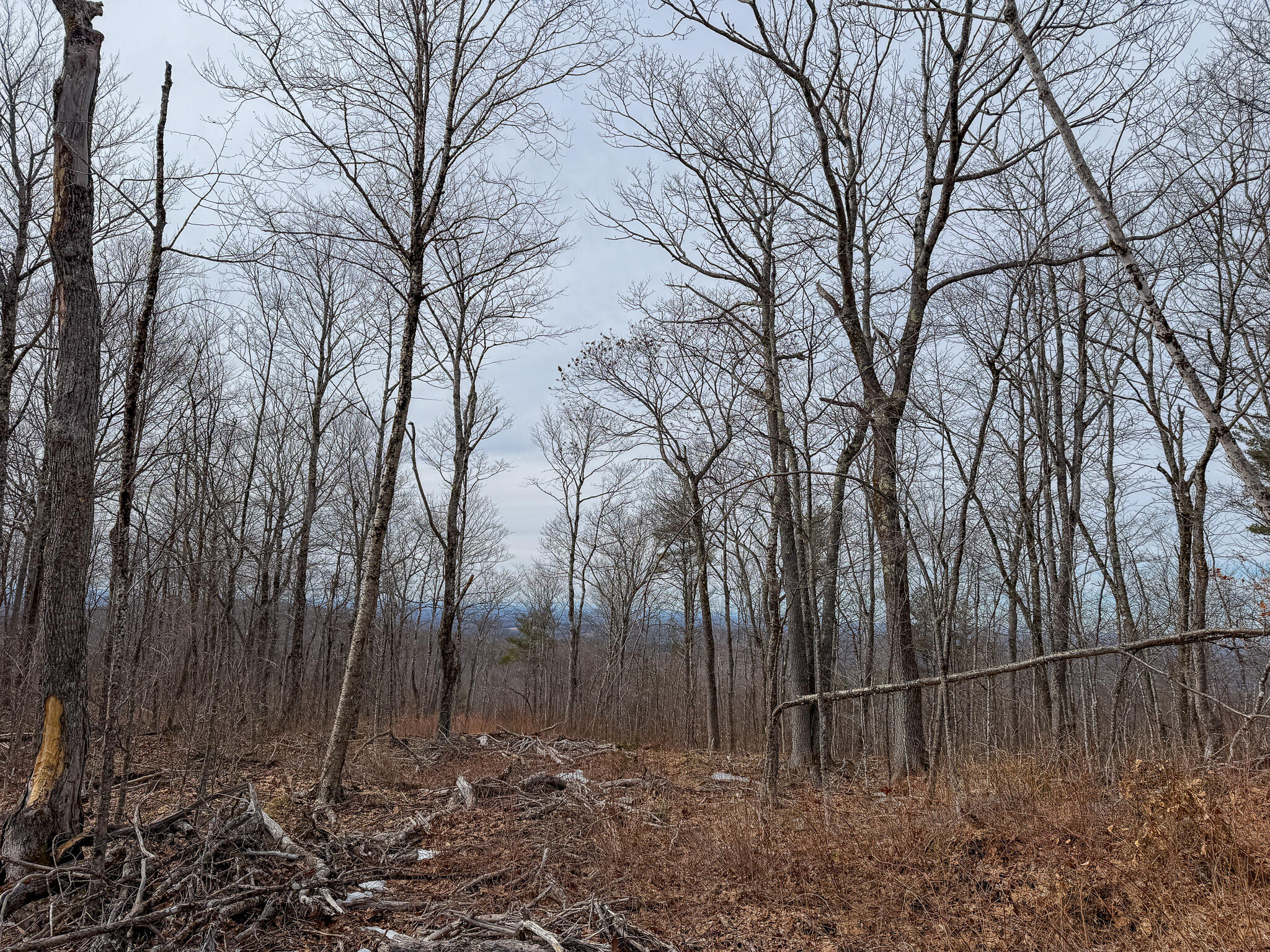 M1l22 Moosehead Trail Property Photo 18