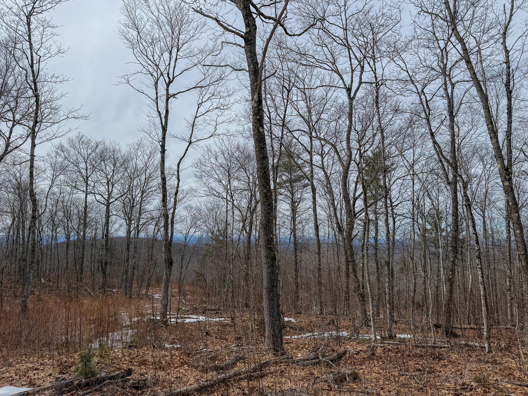 M1l22 Moosehead Trail Property Photo 19