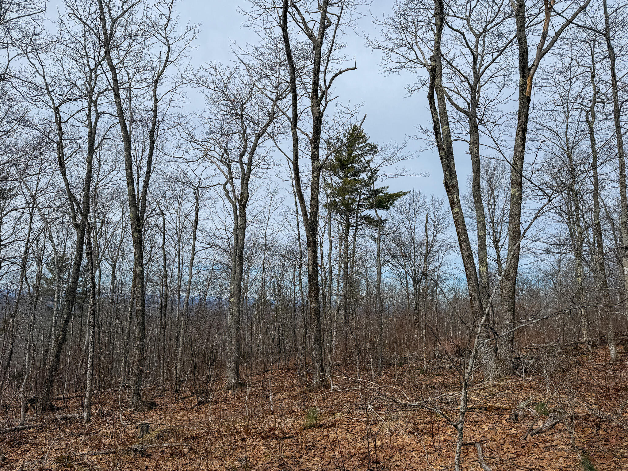 M1l22 Moosehead Trail Property Photo 20
