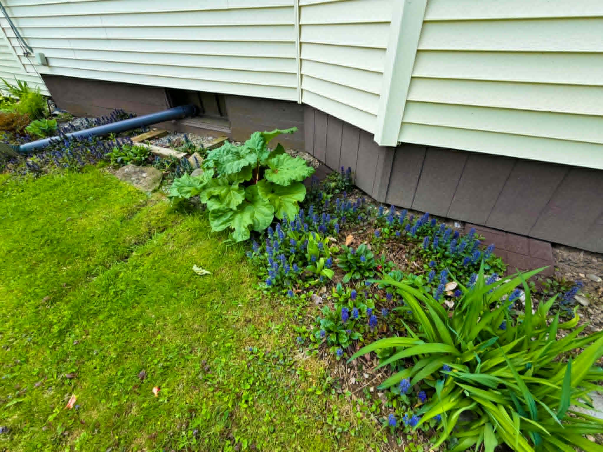 178 Main Road S Property Photo 51