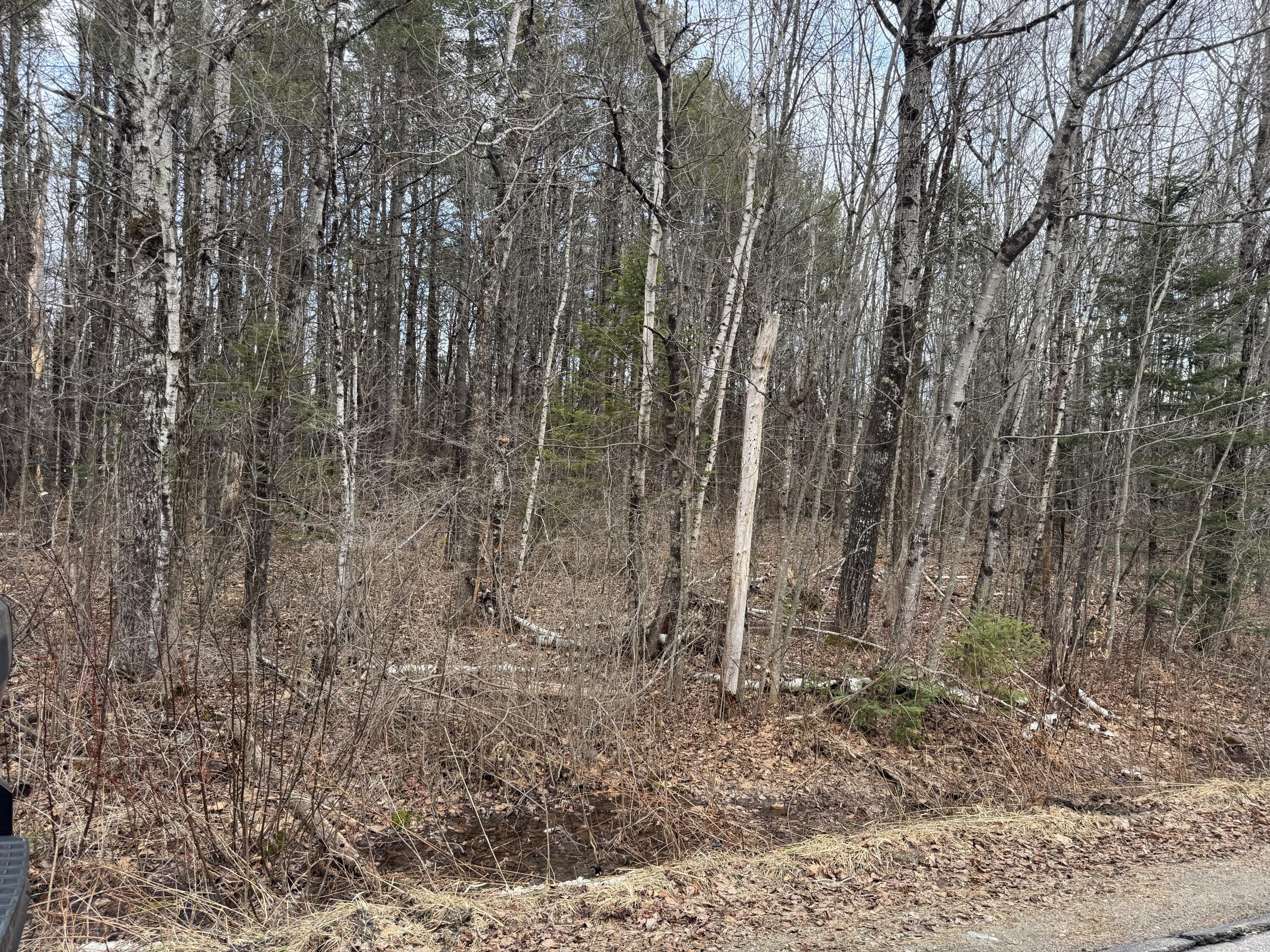 51 Mccaslin Road Property Photo 2