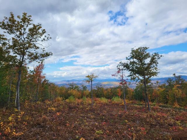 105 Mine Road Lot 8 Property Photo 3