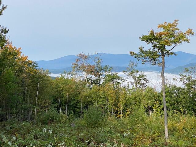 105 Mine Road Lot 8 Property Photo 9