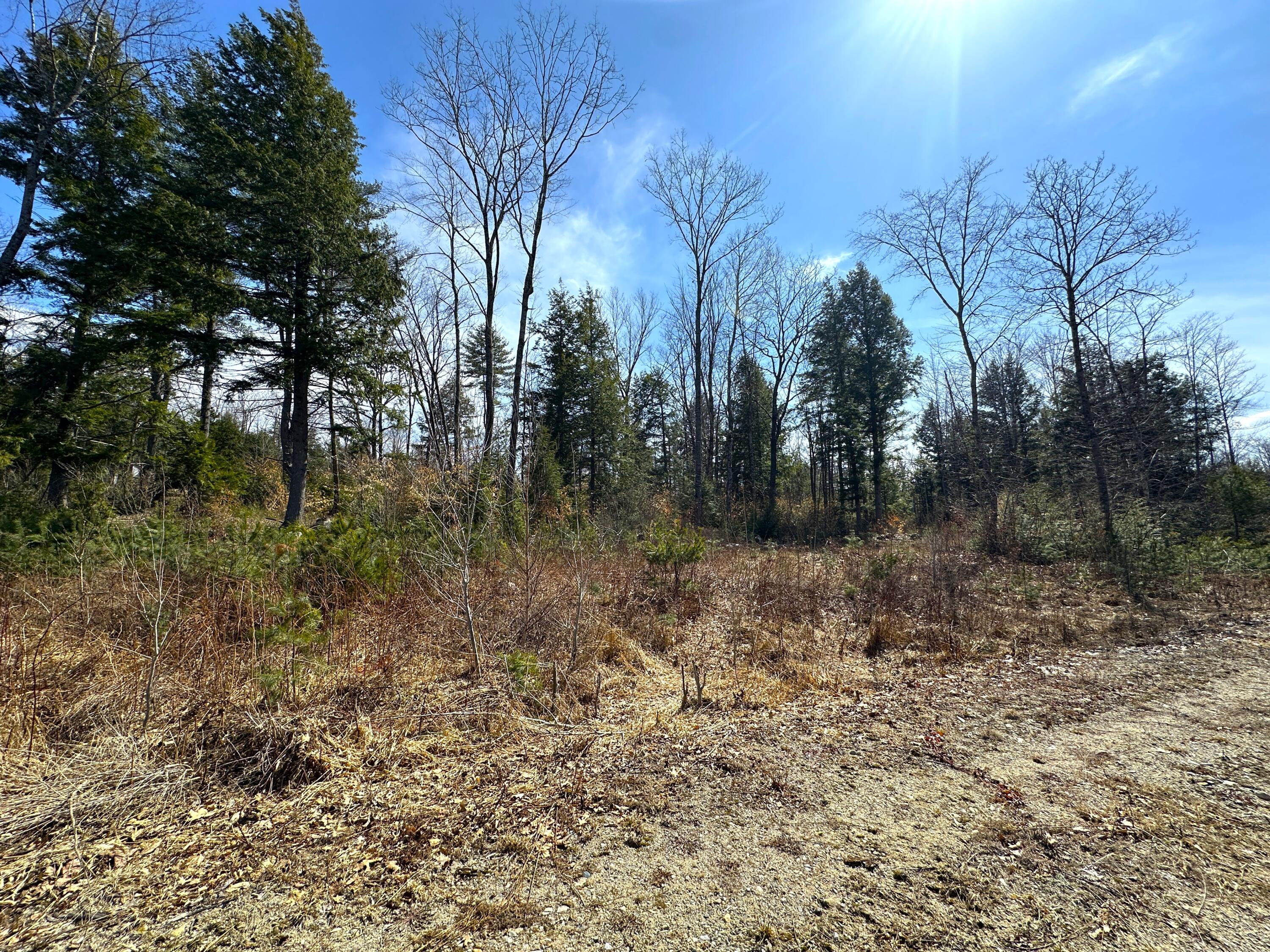 00 North Road Lot #2 Property Photo 27