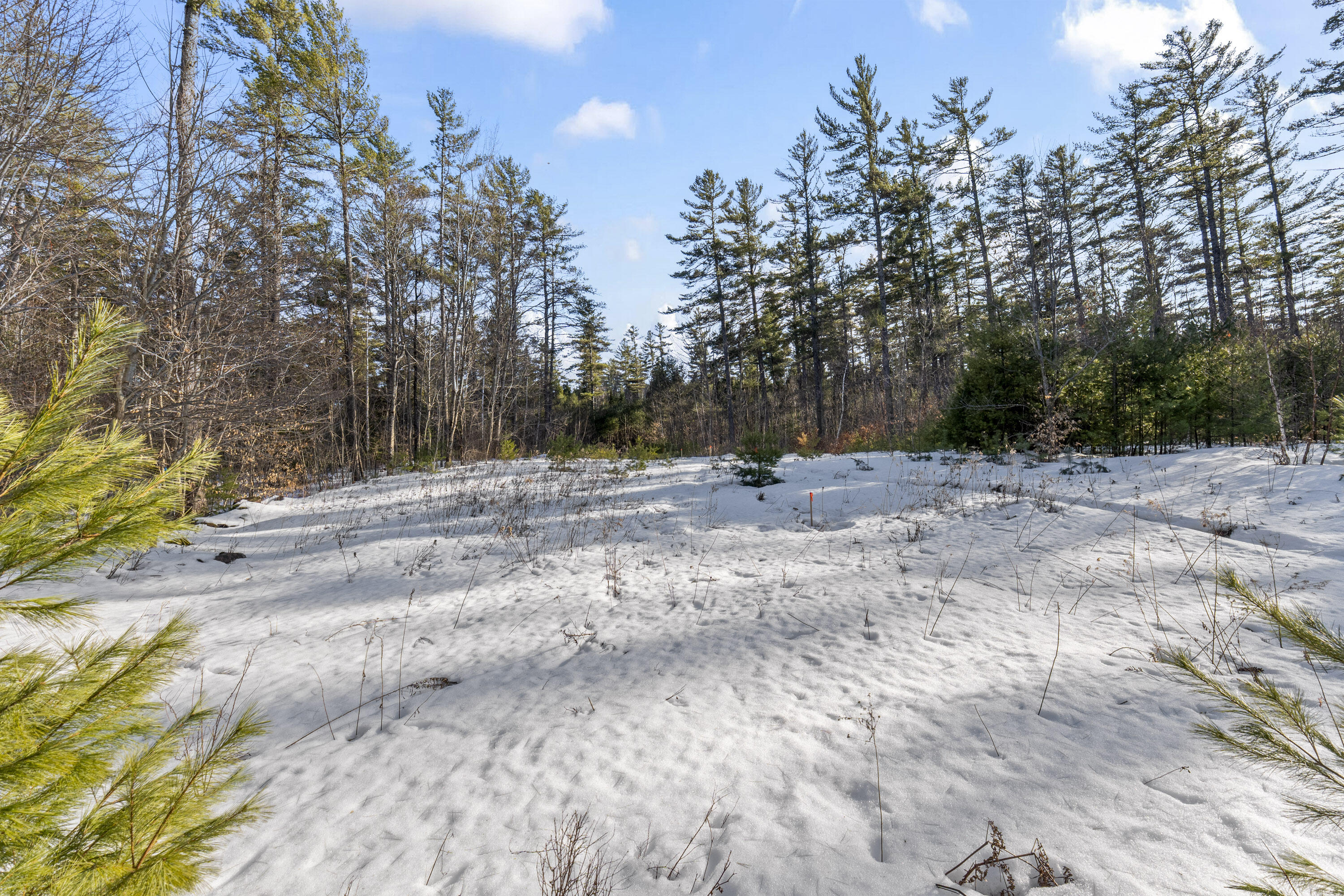 Lot 3 Intervale Road Subdivision Property Photo 12