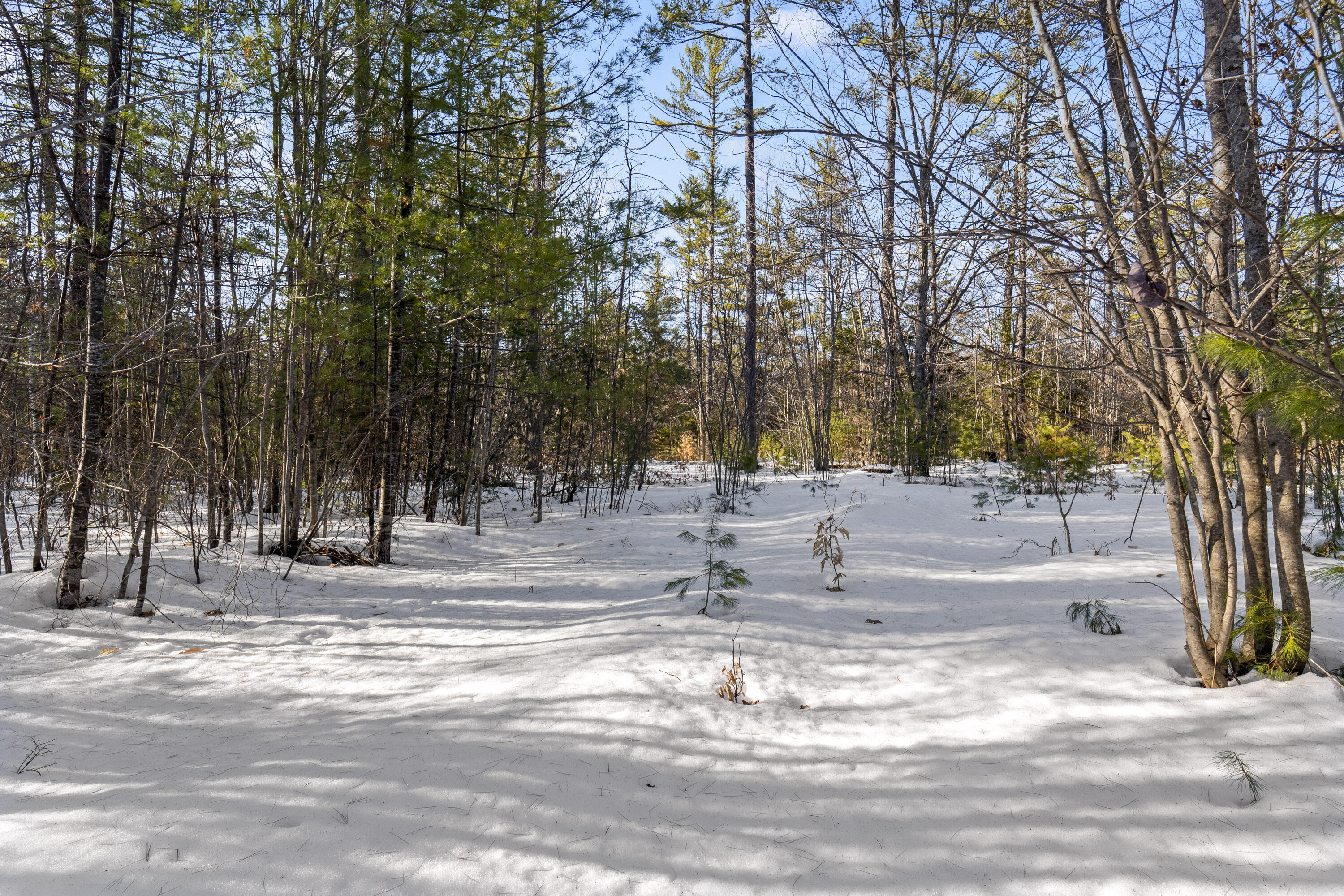 Lot 3 Intervale Road Subdivision Property Photo 14