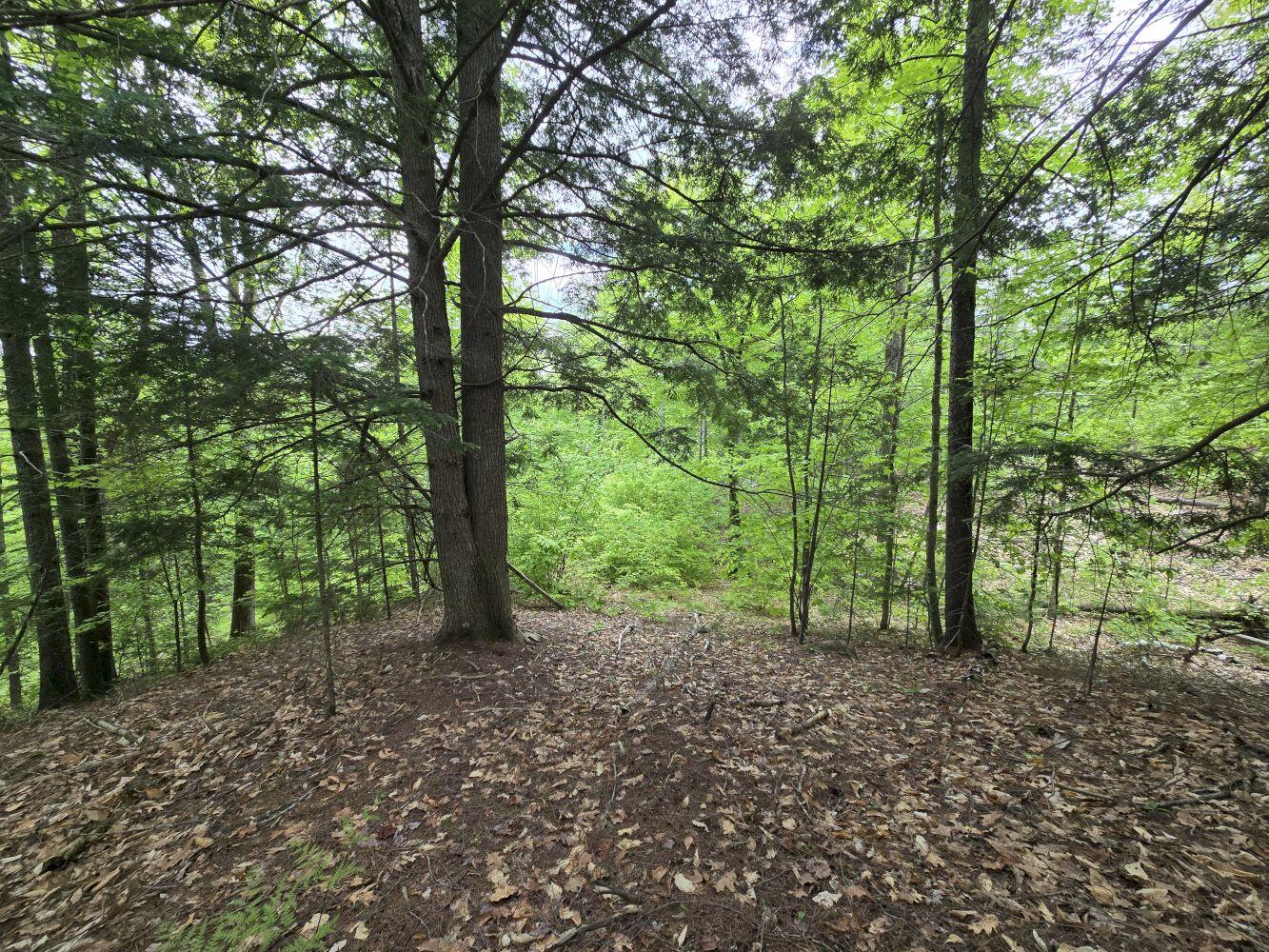 Lot 10c Staples Pond Road Property Photo 1