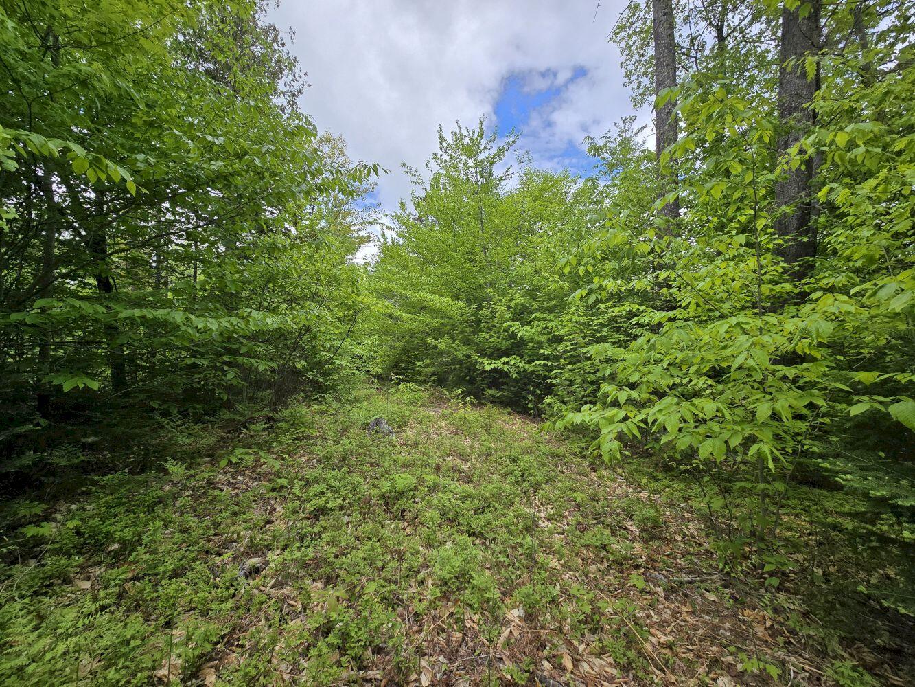 Lot 10c Staples Pond Road Property Photo 2