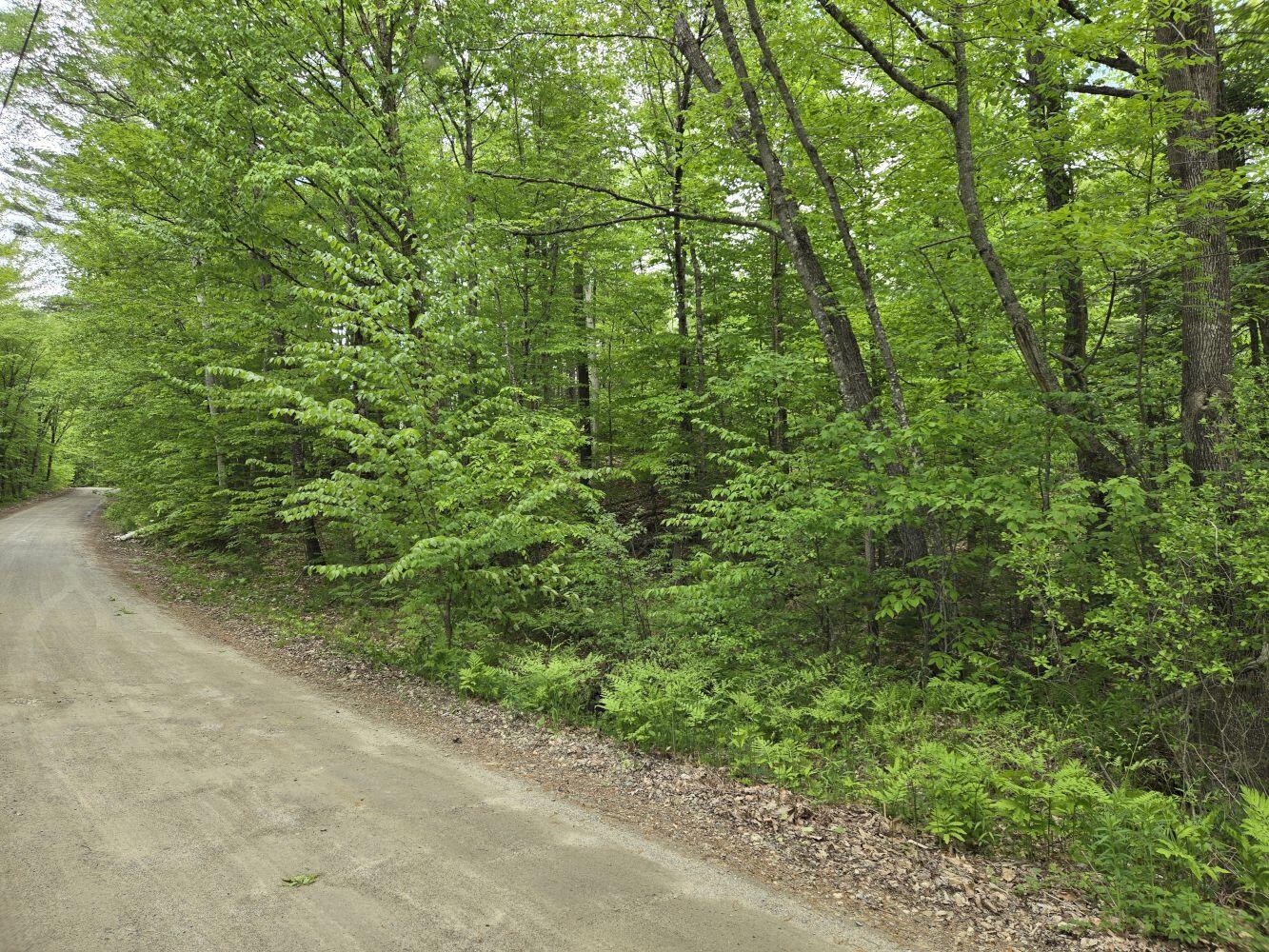 Lot 10c Staples Pond Road Property Photo 3