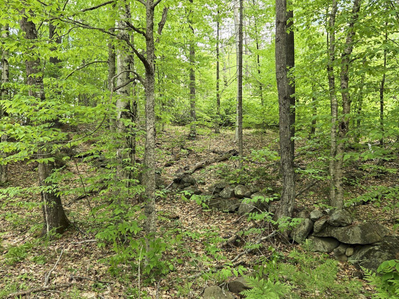 Lot 10c Staples Pond Road Property Photo 4