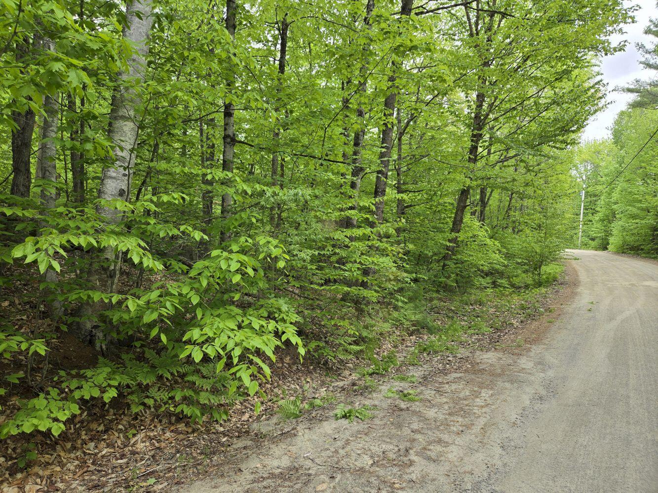 Lot 10c Staples Pond Road Property Photo 5