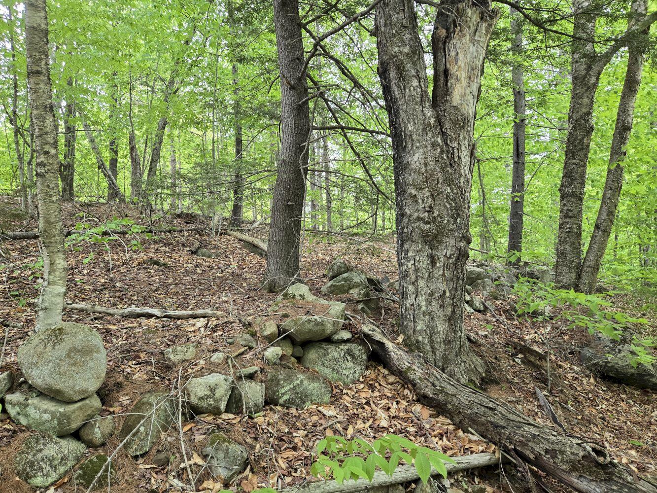 Lot 10c Staples Pond Road Property Photo 6