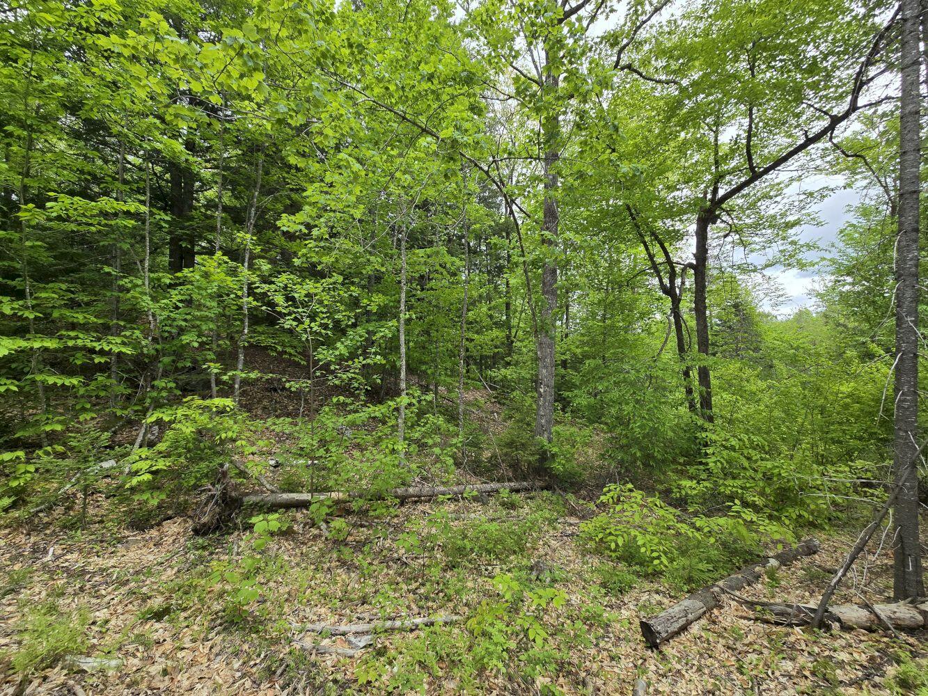 Lot 10c Staples Pond Road Property Photo 7