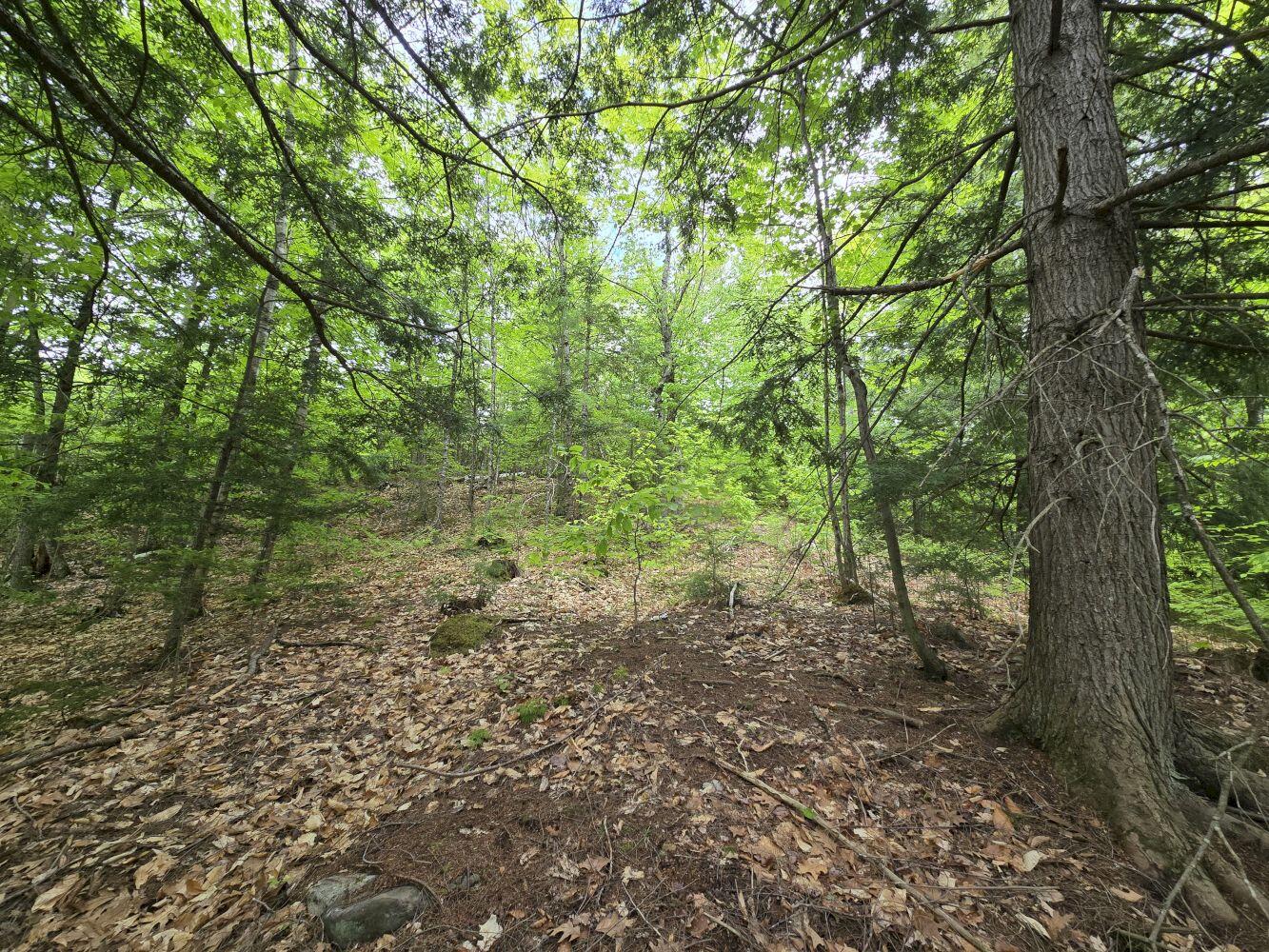 Lot 10c Staples Pond Road Property Photo 8