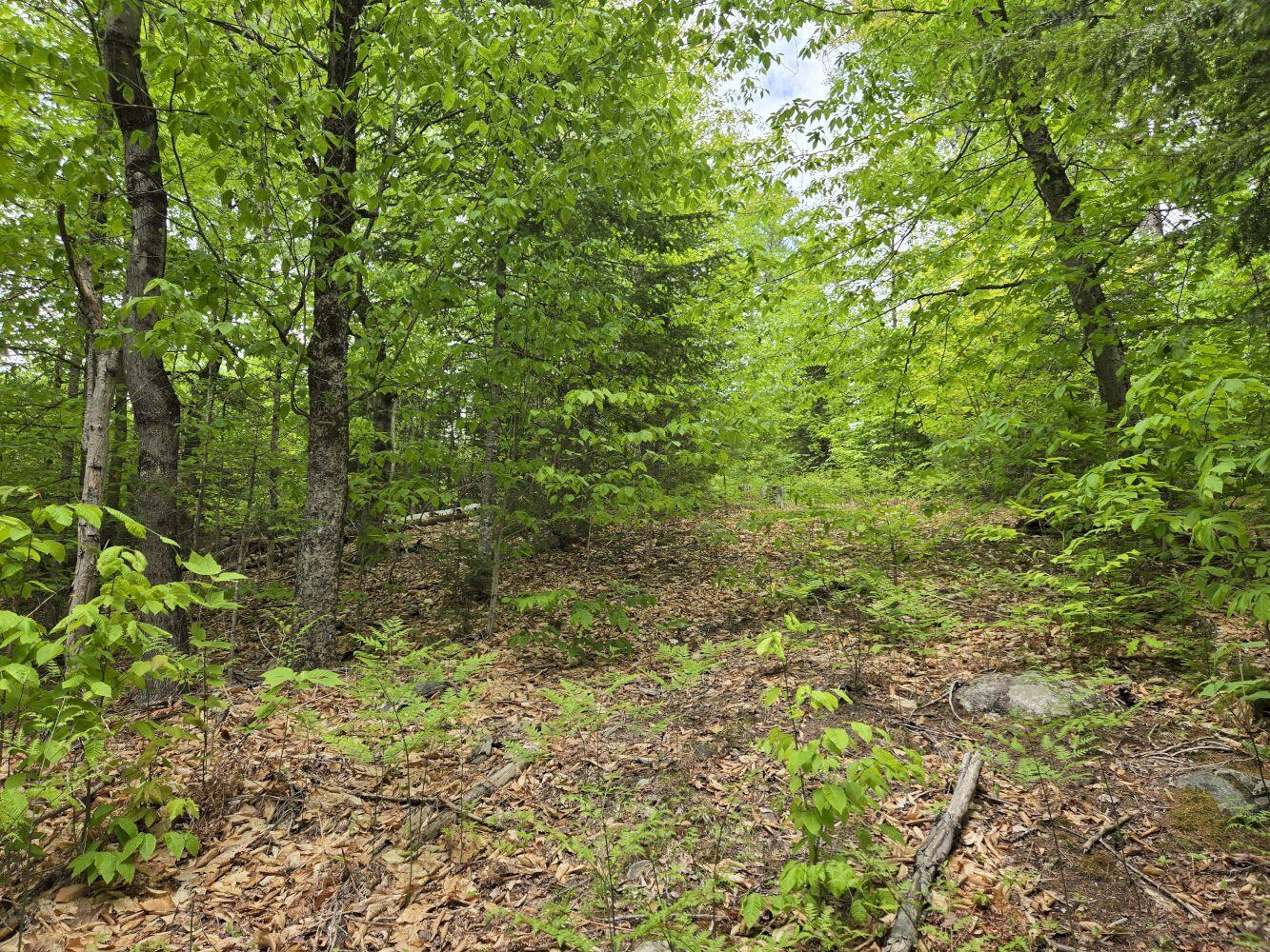 Lot 10c Staples Pond Road Property Photo 10
