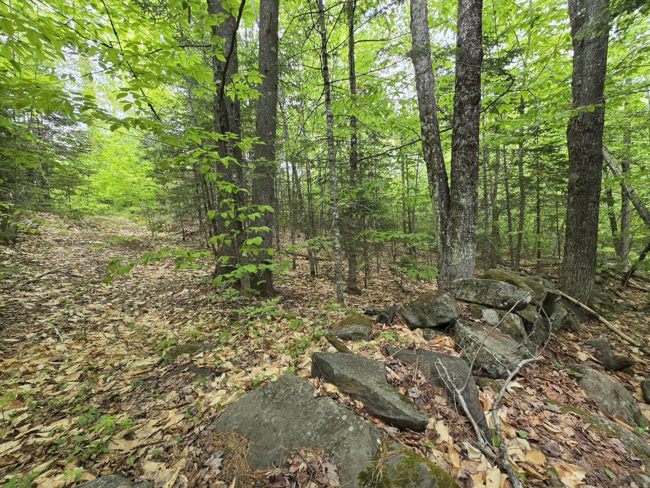 Lot 10c Staples Pond Road Property Photo 12