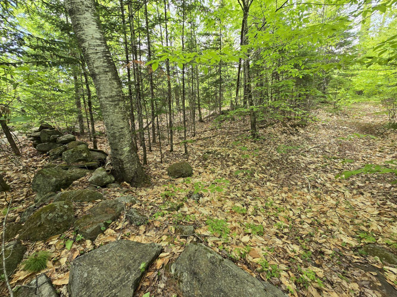 Lot 10c Staples Pond Road Property Photo 13