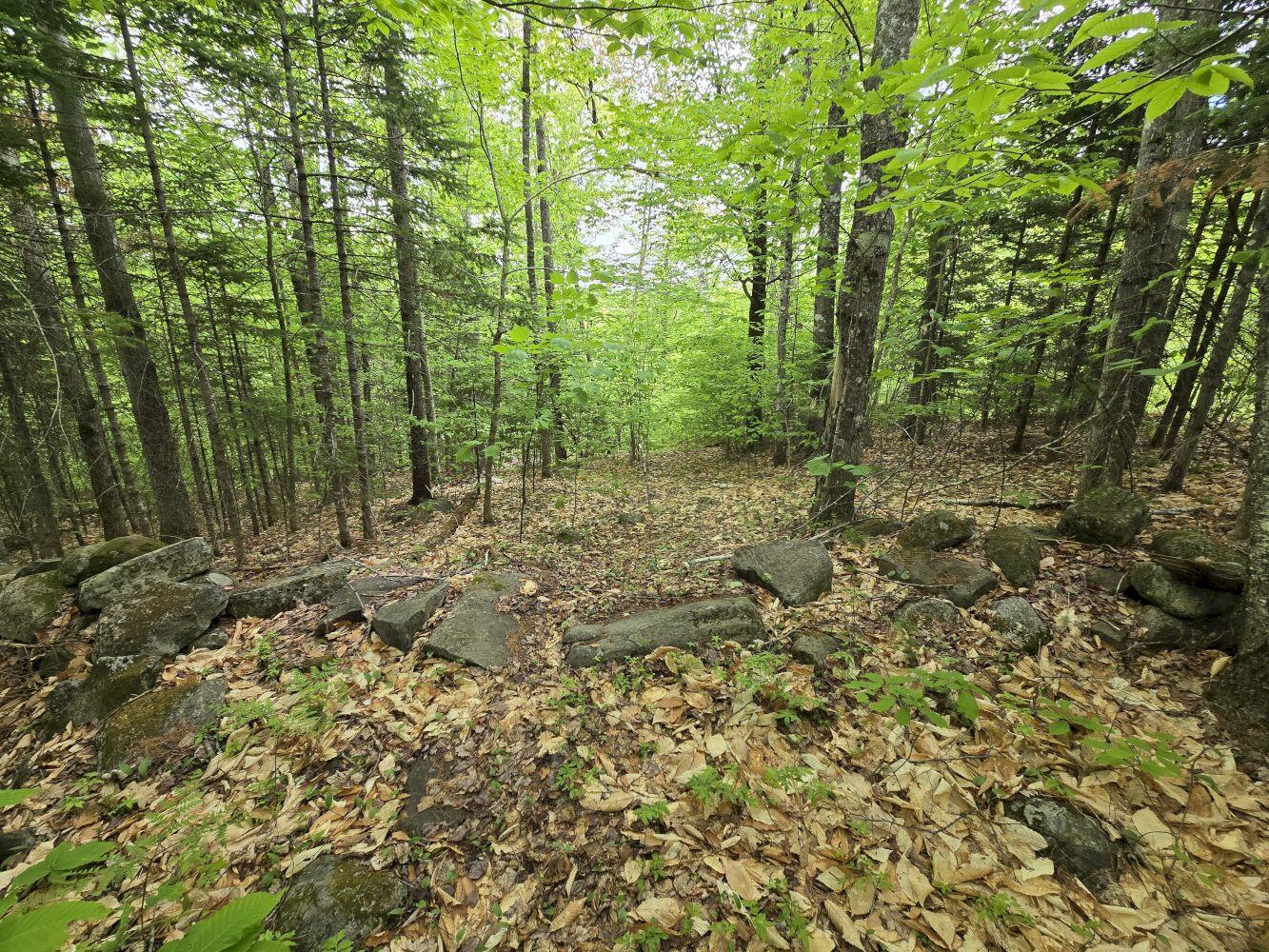 Lot 10c Staples Pond Road Property Photo 14