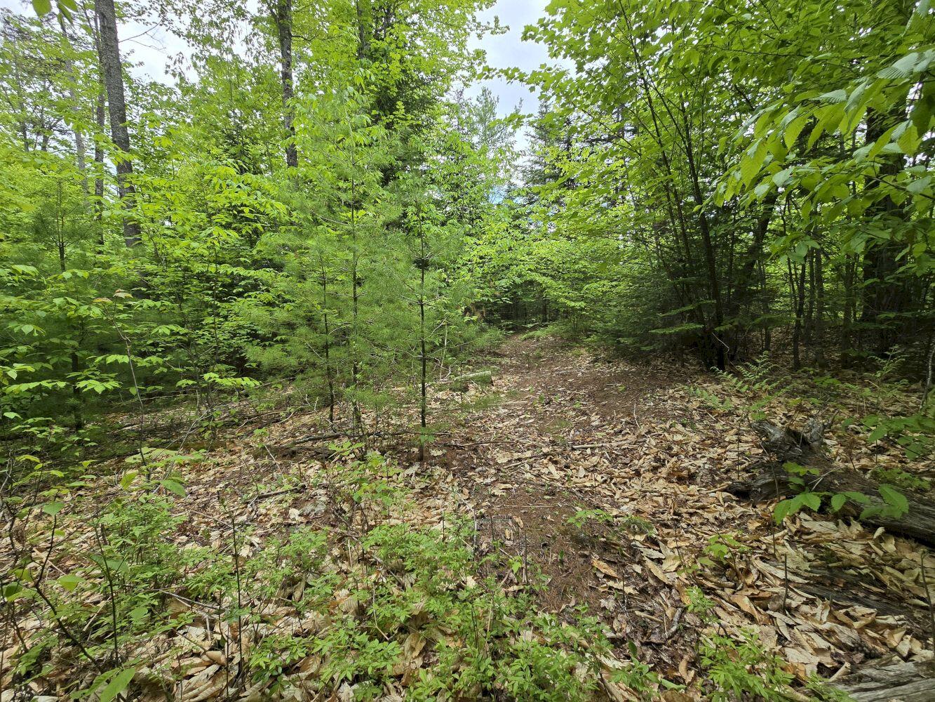 Lot 10c Staples Pond Road Property Photo 15
