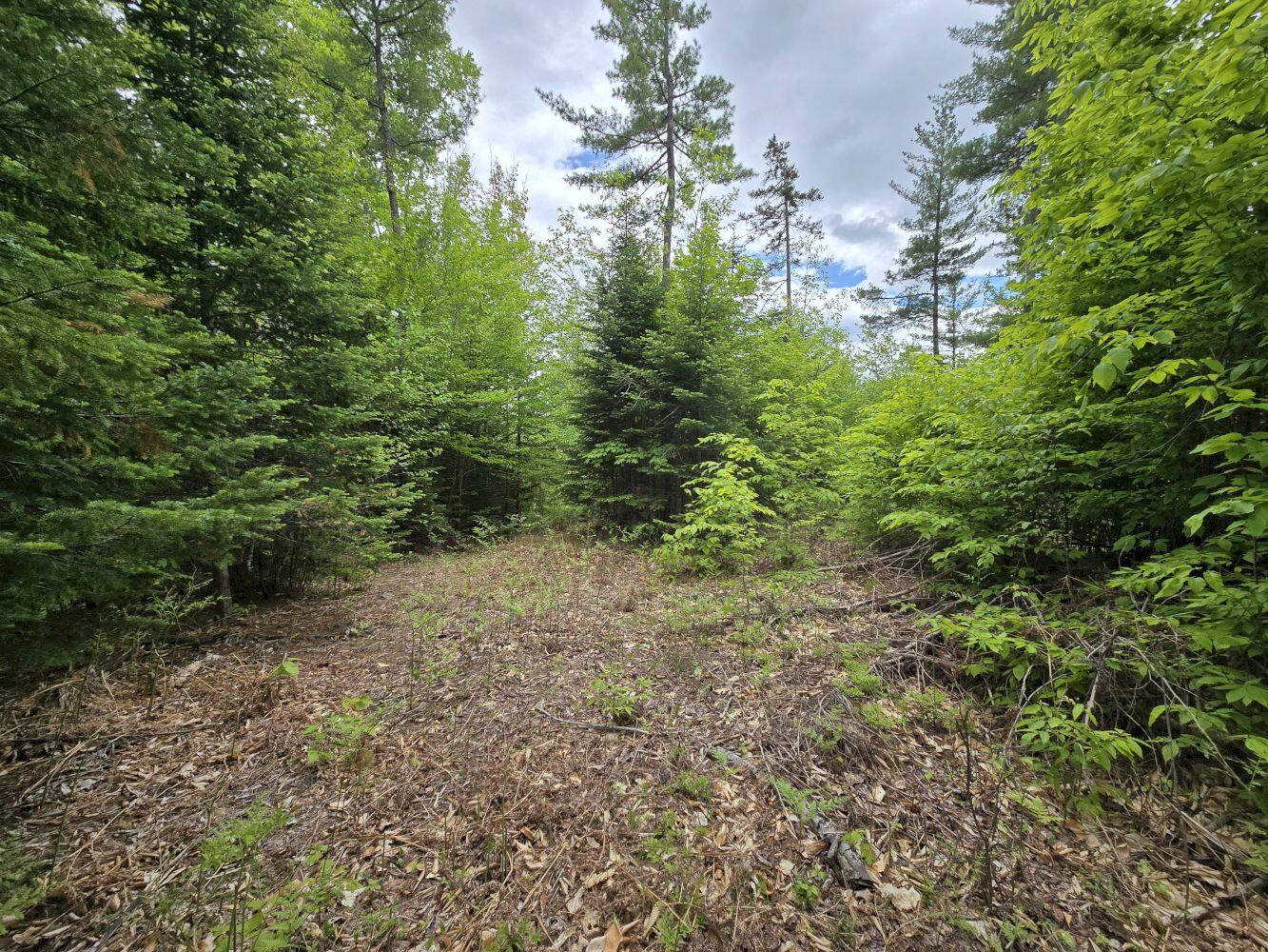 Lot 10c Staples Pond Road Property Photo 16